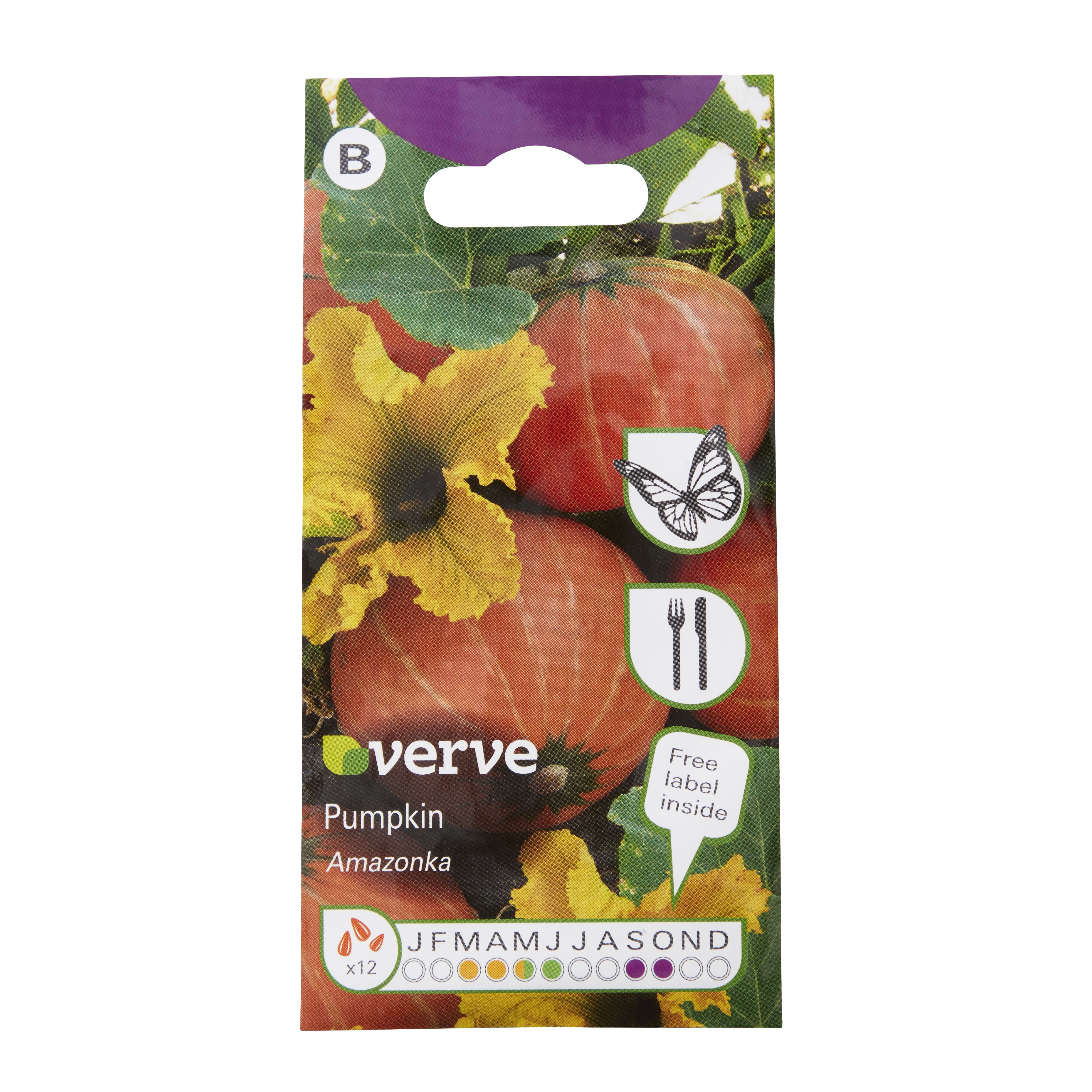 Verve Amazonka pumpkin Fruit seeds