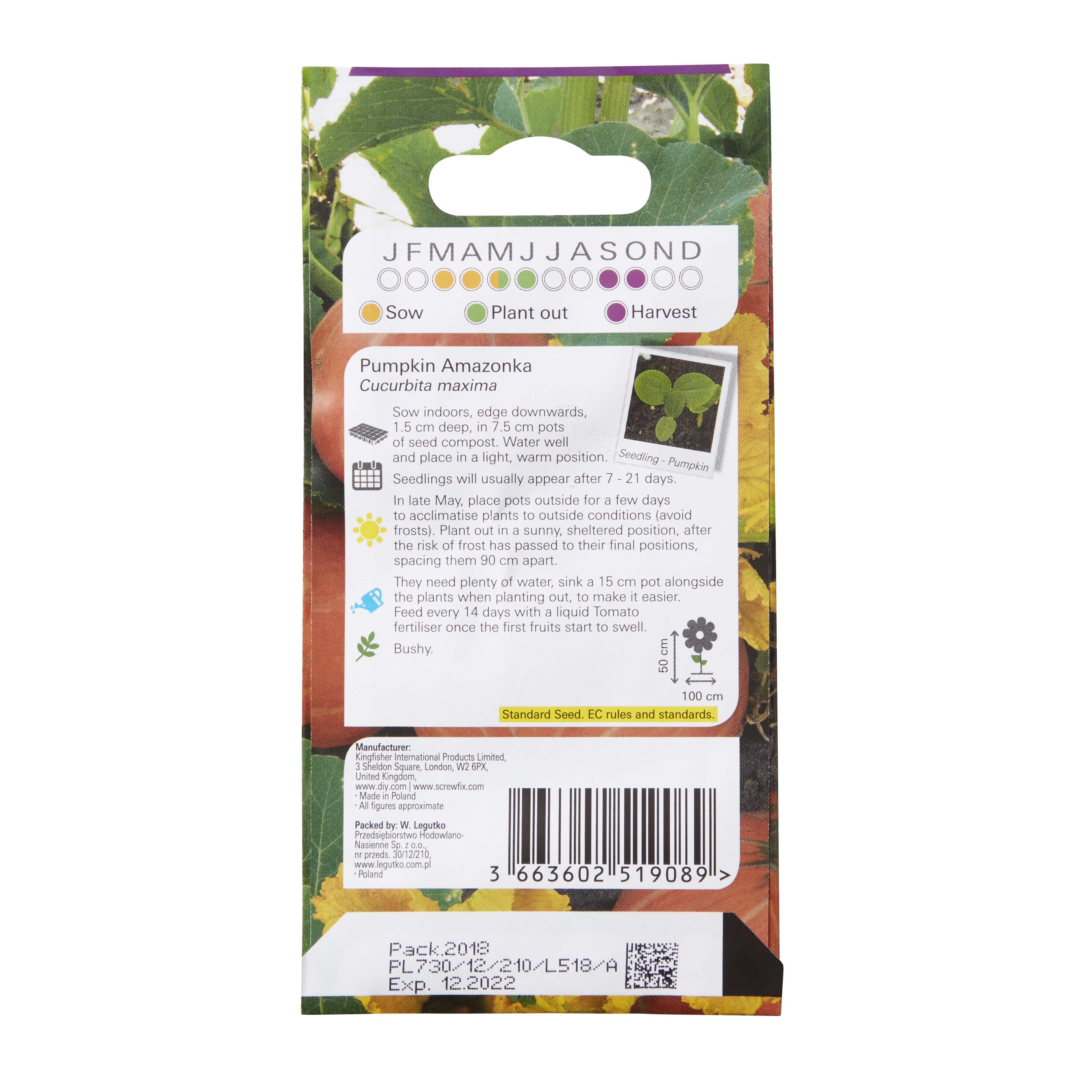 Verve Amazonka pumpkin Fruit seeds
