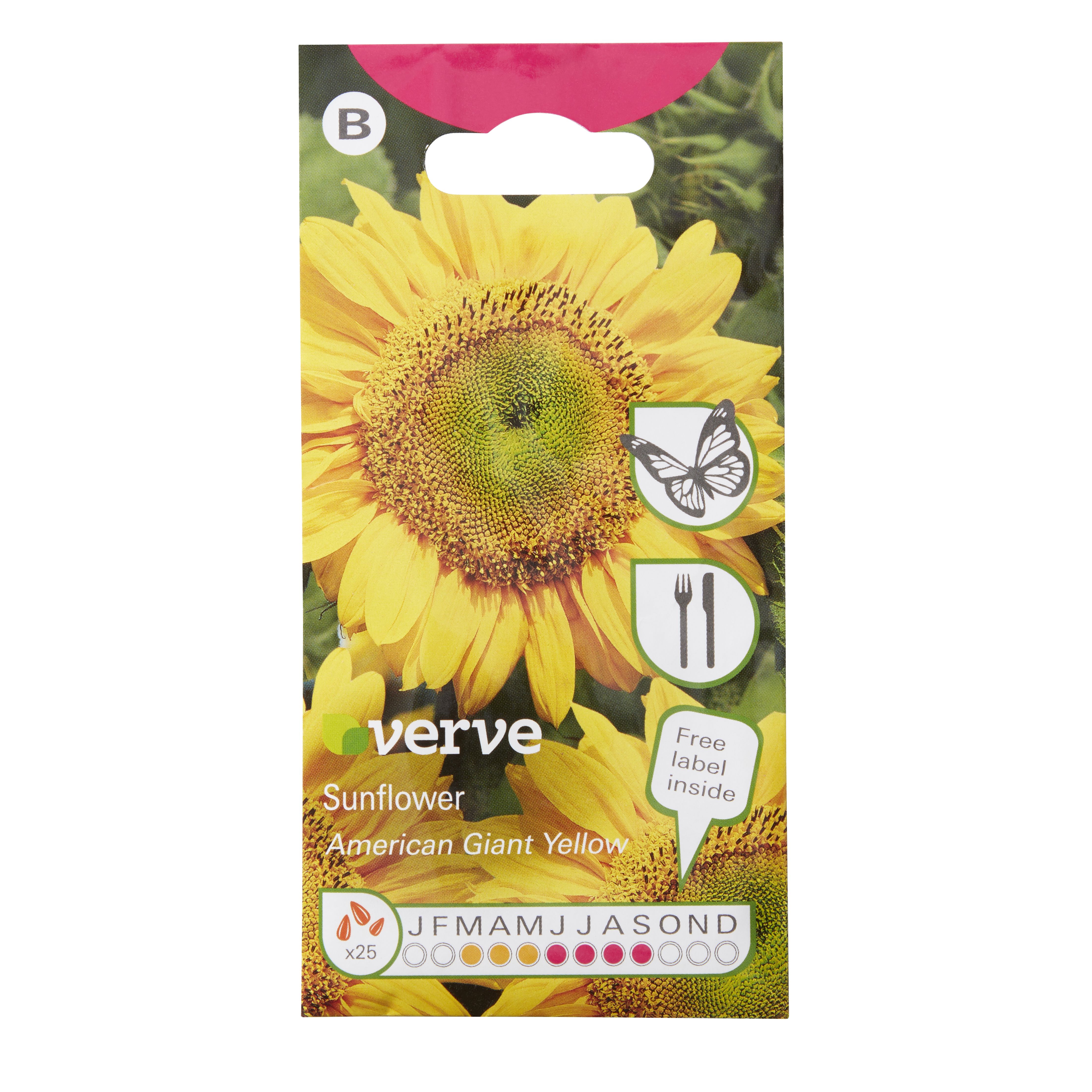 Verve American giant Sunflower Seeds