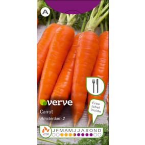 Verve Amsterdam 2 carrot Seed