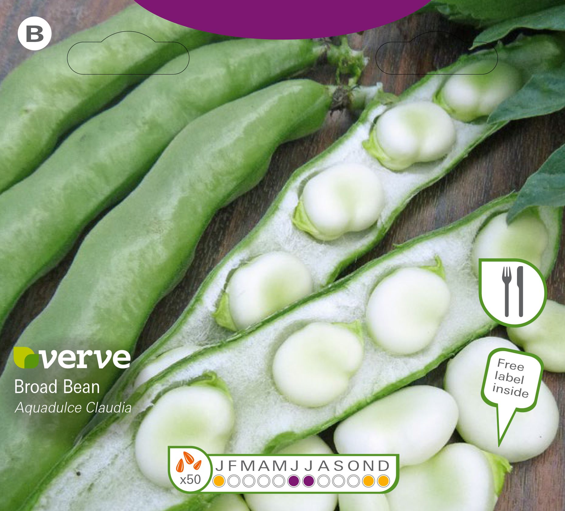 Verve Aqua dulce claudia broad bean Seeds