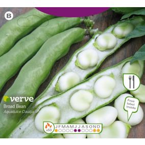 Verve Aqua dulce claudia broad bean Vegetable Seeds