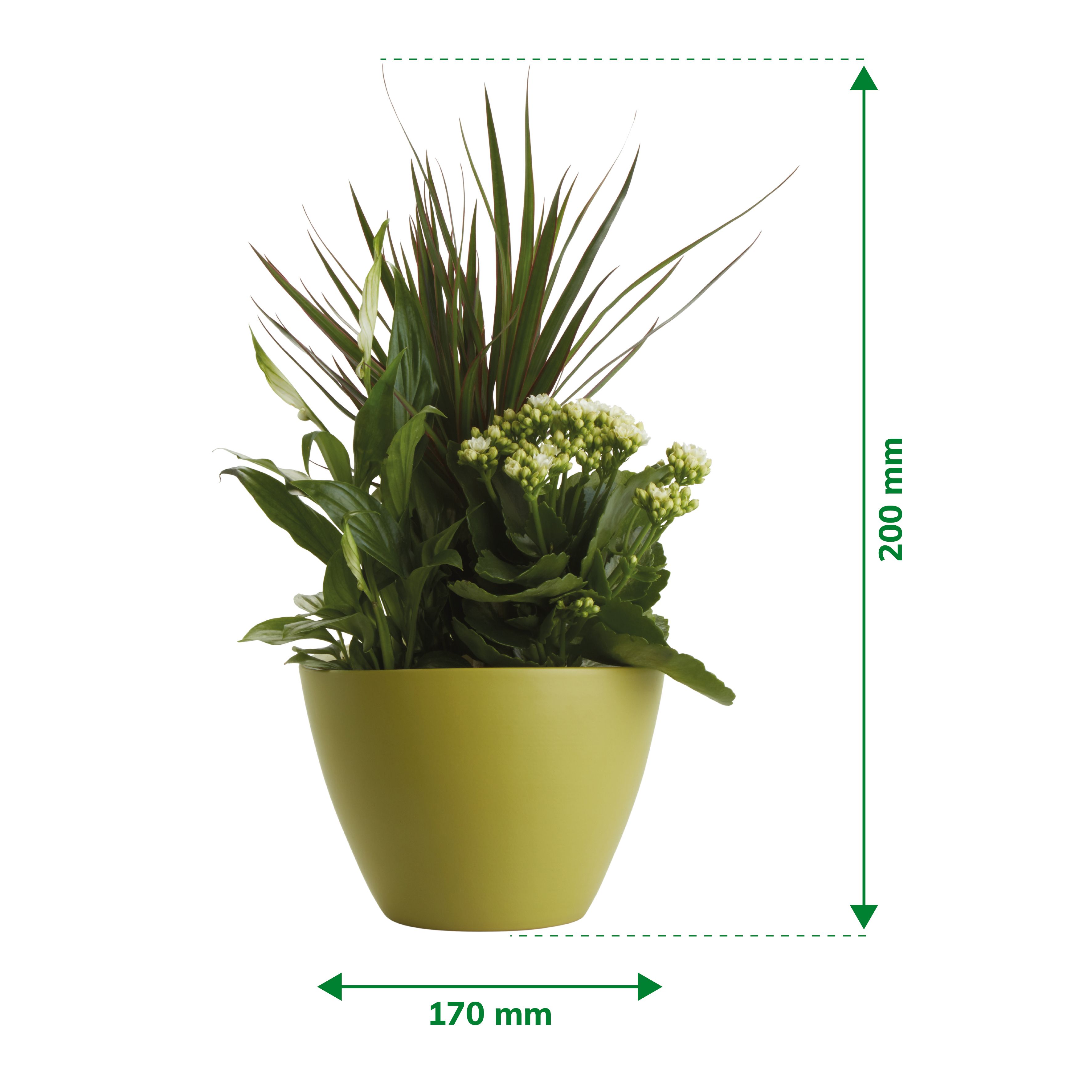 Verve Arrangement in Ceramic Decorative pot 17cm