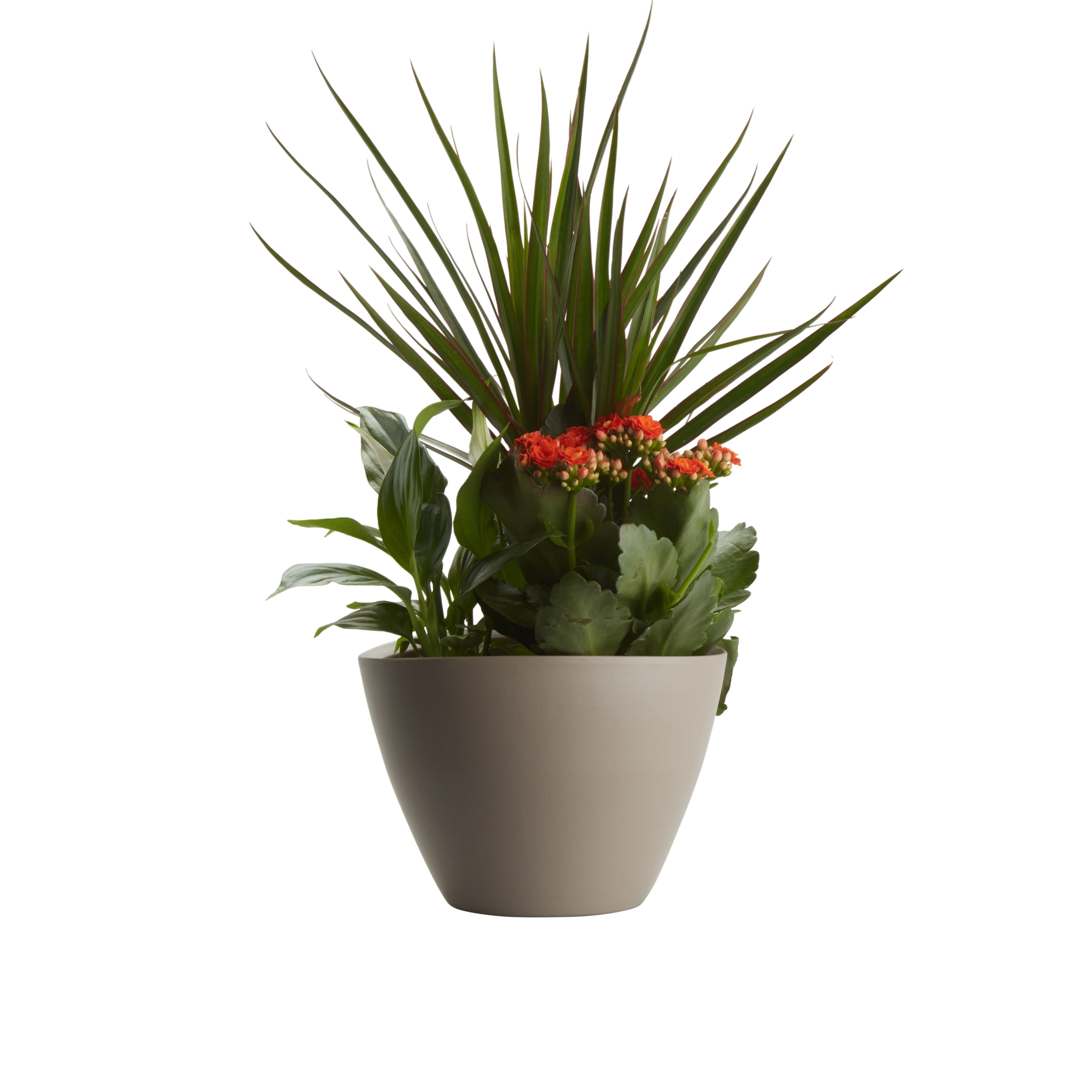 Verve Arrangement in Ceramic Decorative pot 17cm