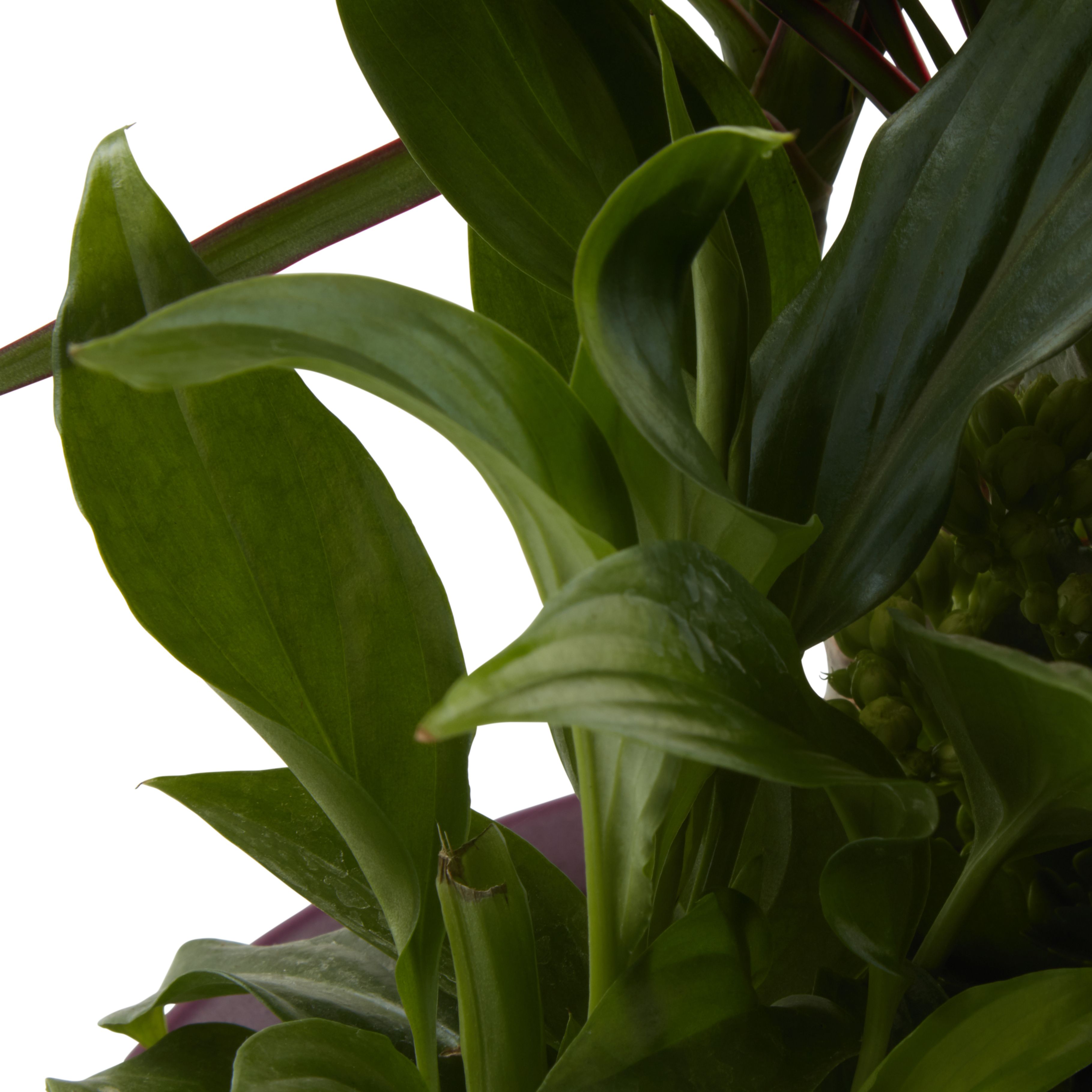 Verve Arrangement in Ceramic Decorative pot 17cm