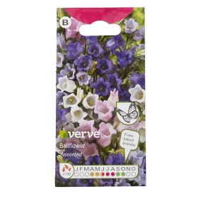 Verve Assorted Bellflower Seeds