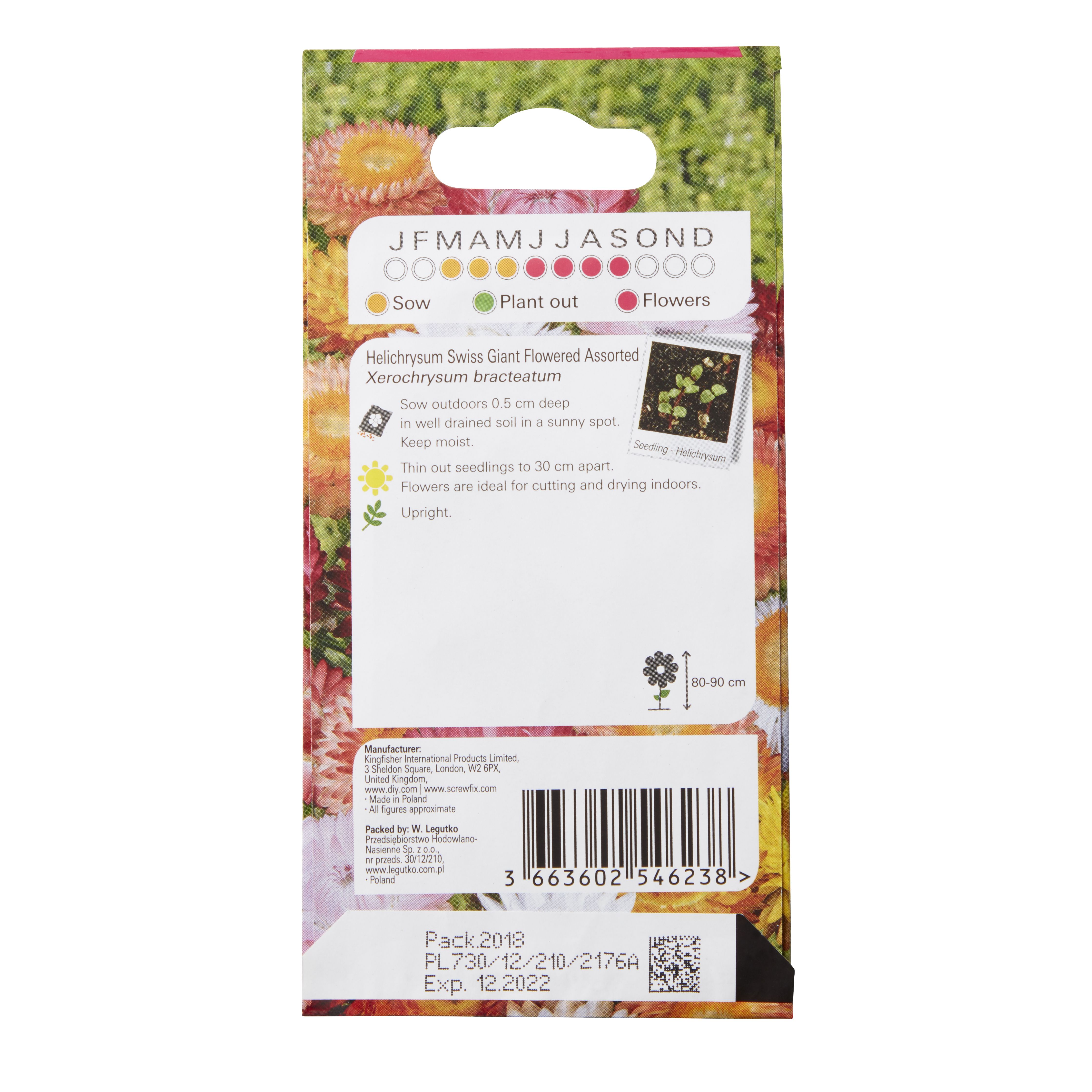 Verve Assorted Seeds