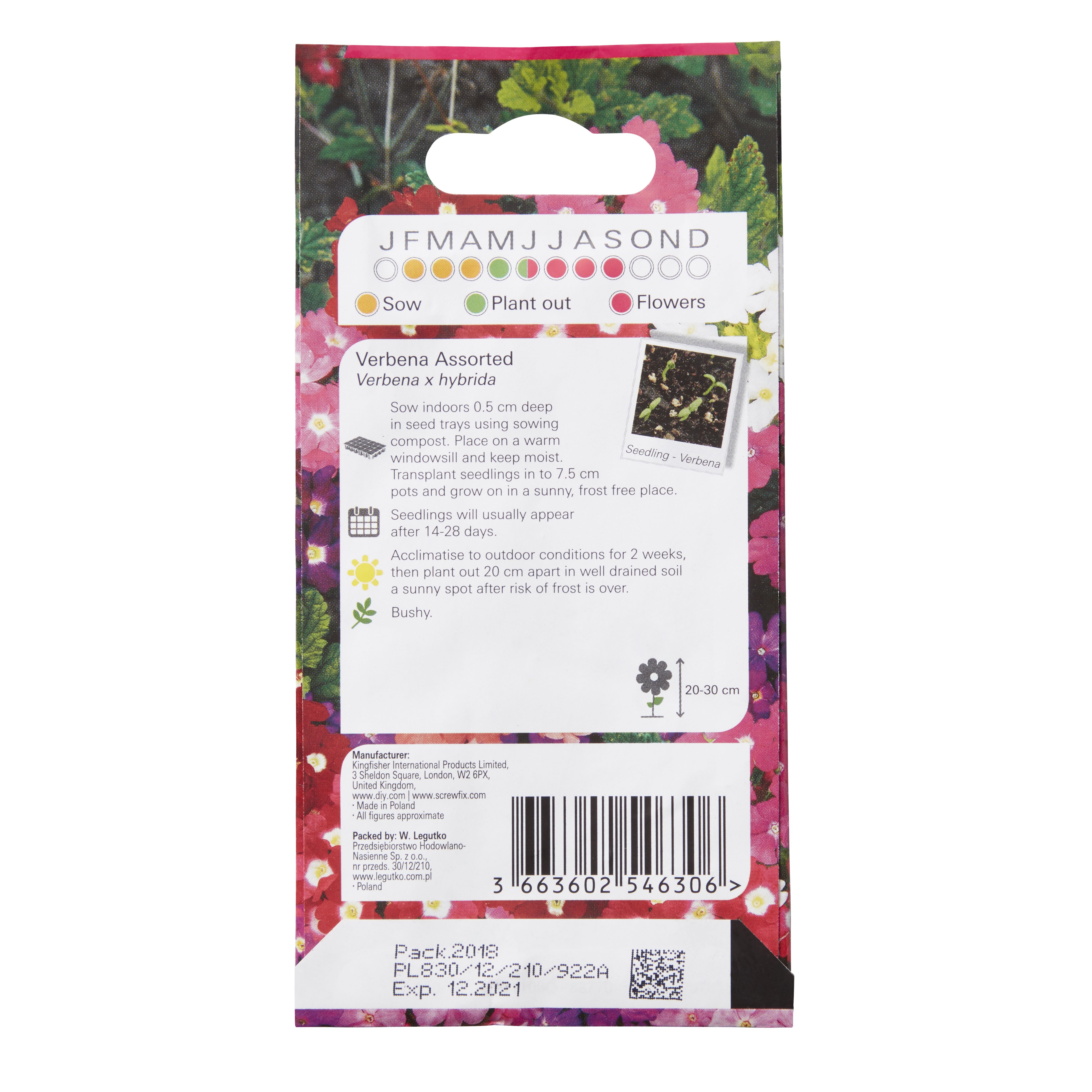 Verve Assorted Verbena Seeds