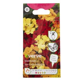 Verve Assorted Wallflower Seeds