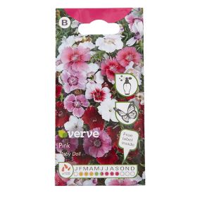 Verve Baby doll Sweet william Seeds