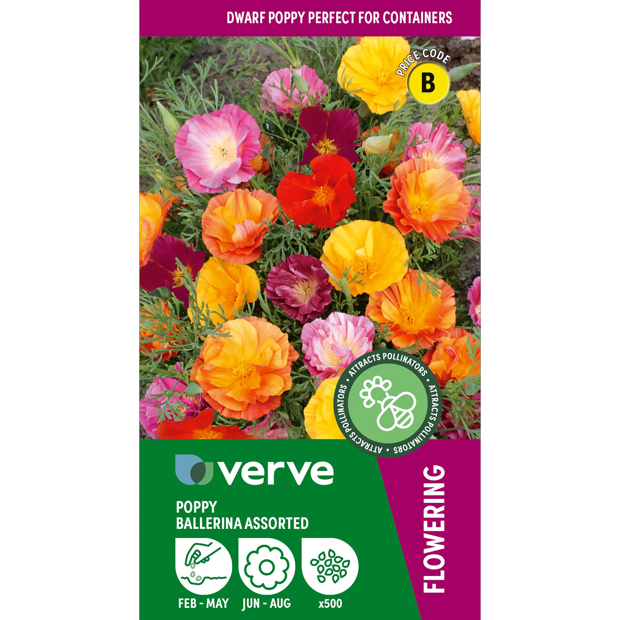 Verve Ballerina Assorted Poppy Seeds