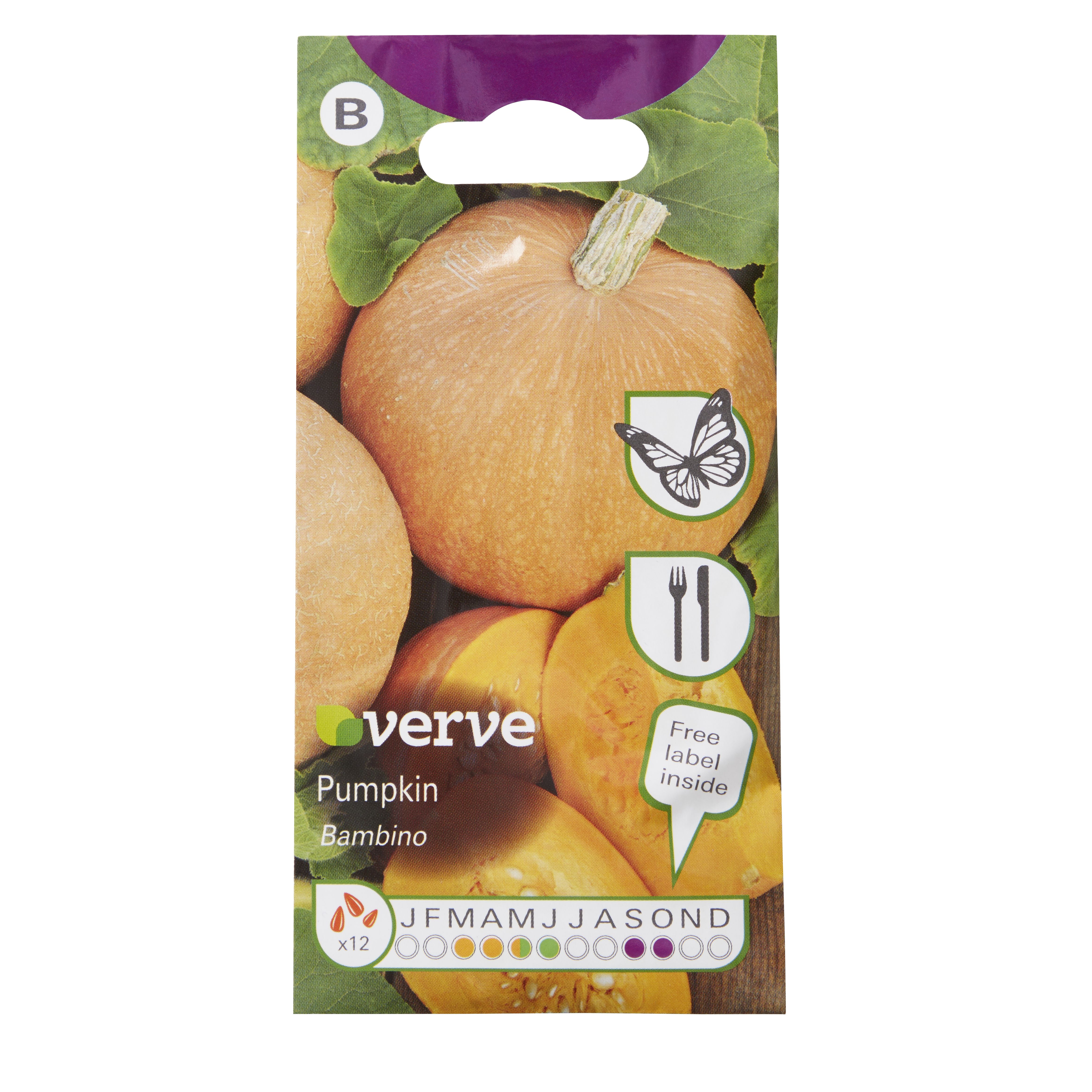 Verve Bambino pumpkin Fruit seeds