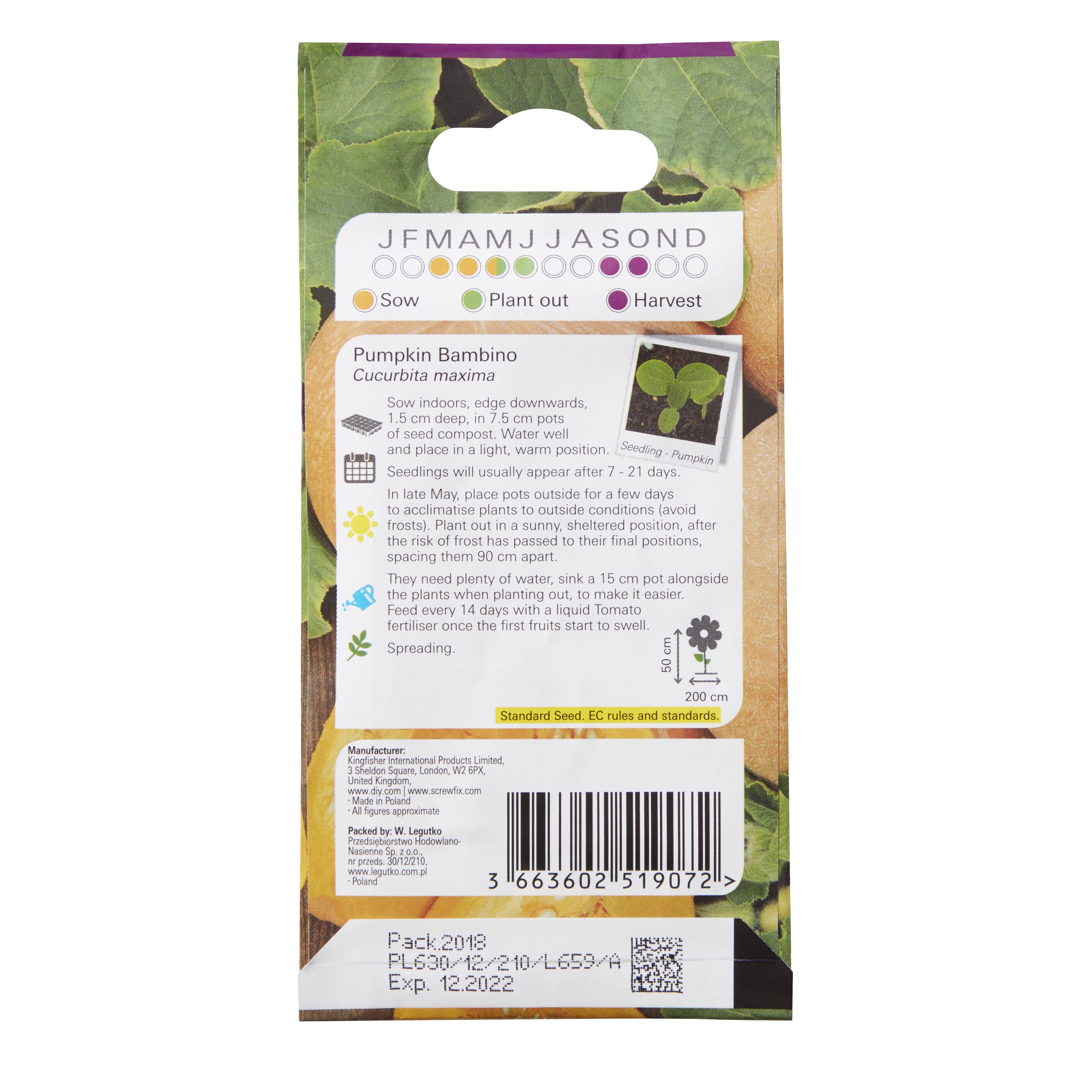 Verve Bambino pumpkin Fruit seeds