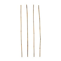Verve Bamboo Cane 120cm, Pack of 20