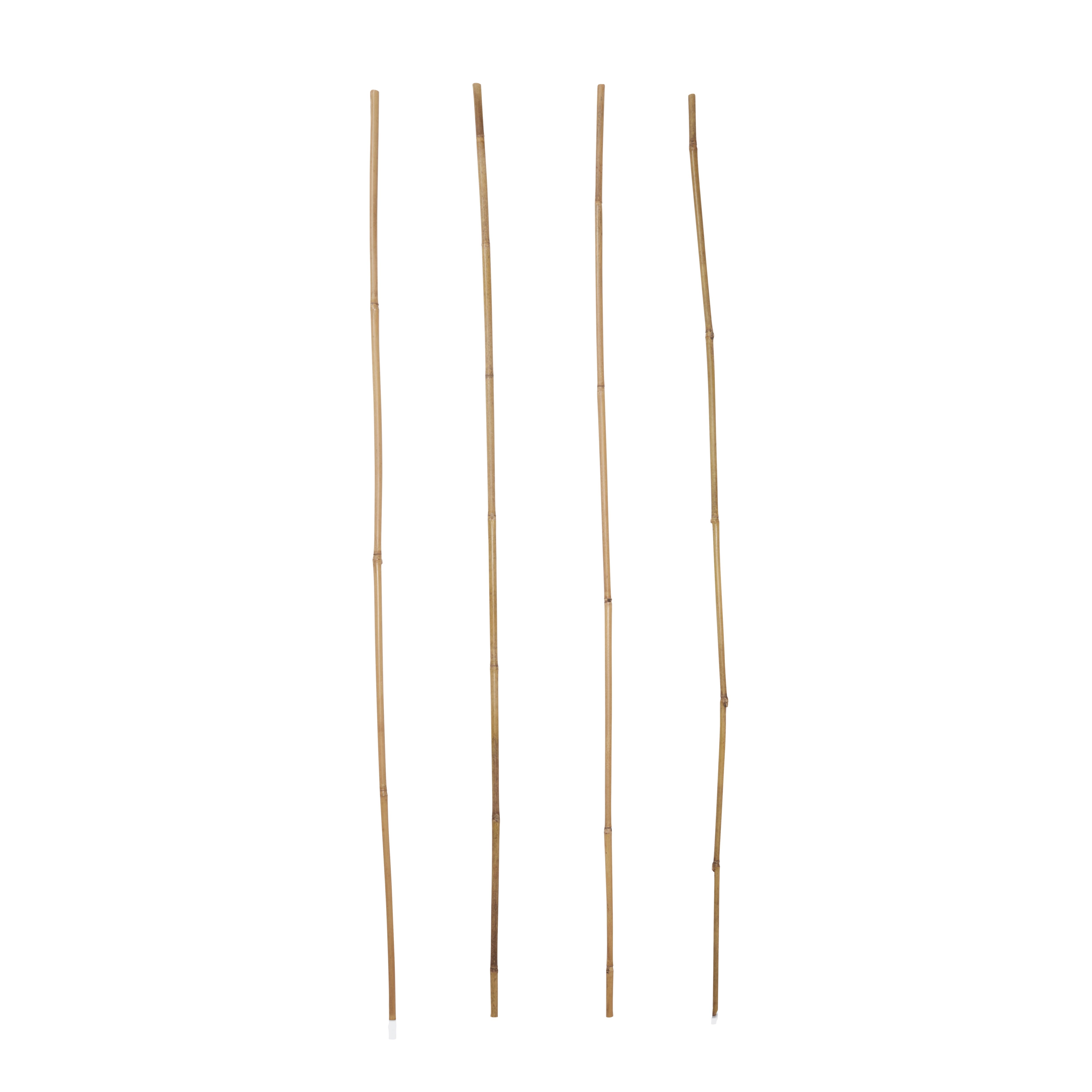 Verve Bamboo Cane 120cm, Pack of 20 DIY at B&Q