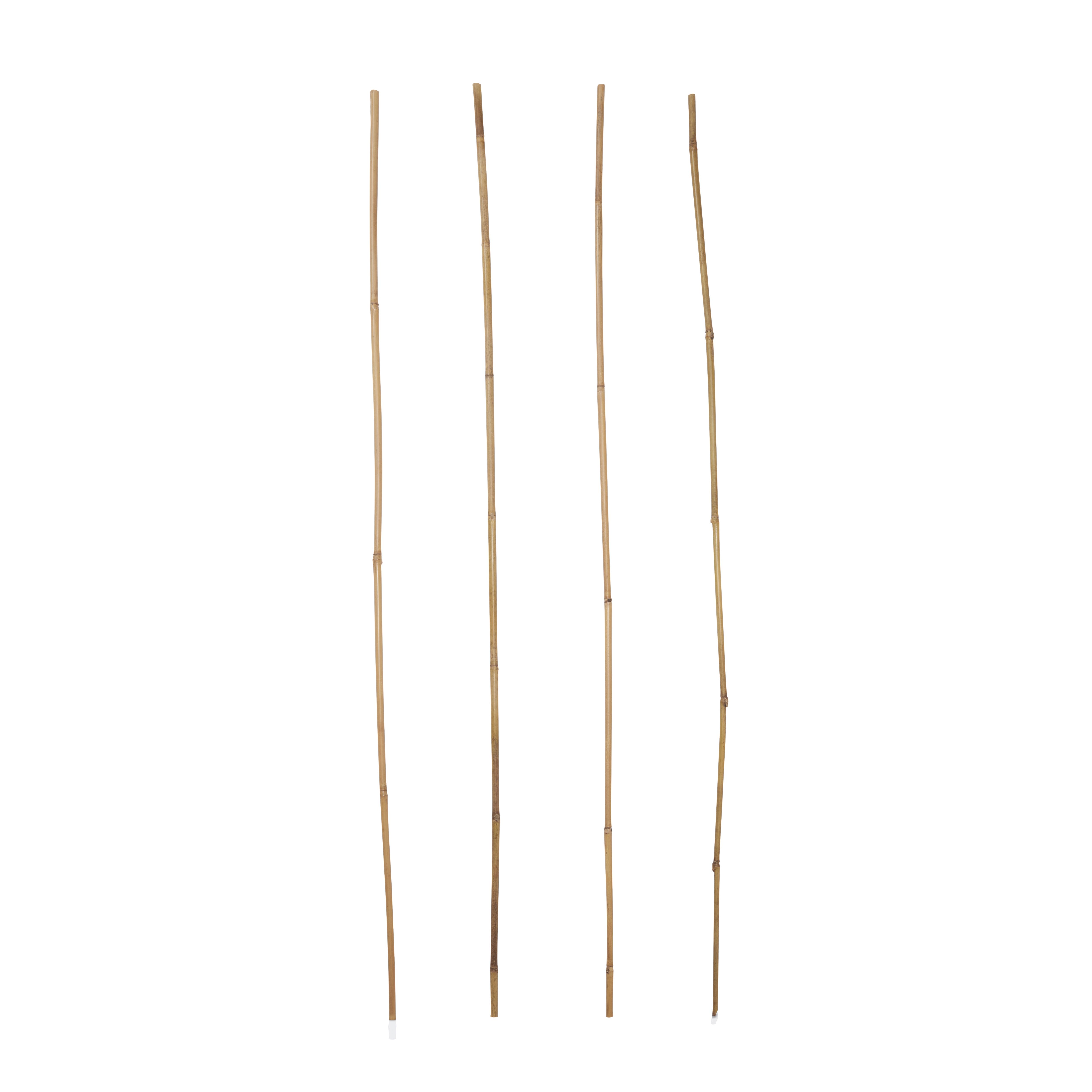 Verve Bamboo Cane 120cm, Pack of 20