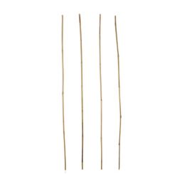 Verve Bamboo Cane 120cm, Pack of 20