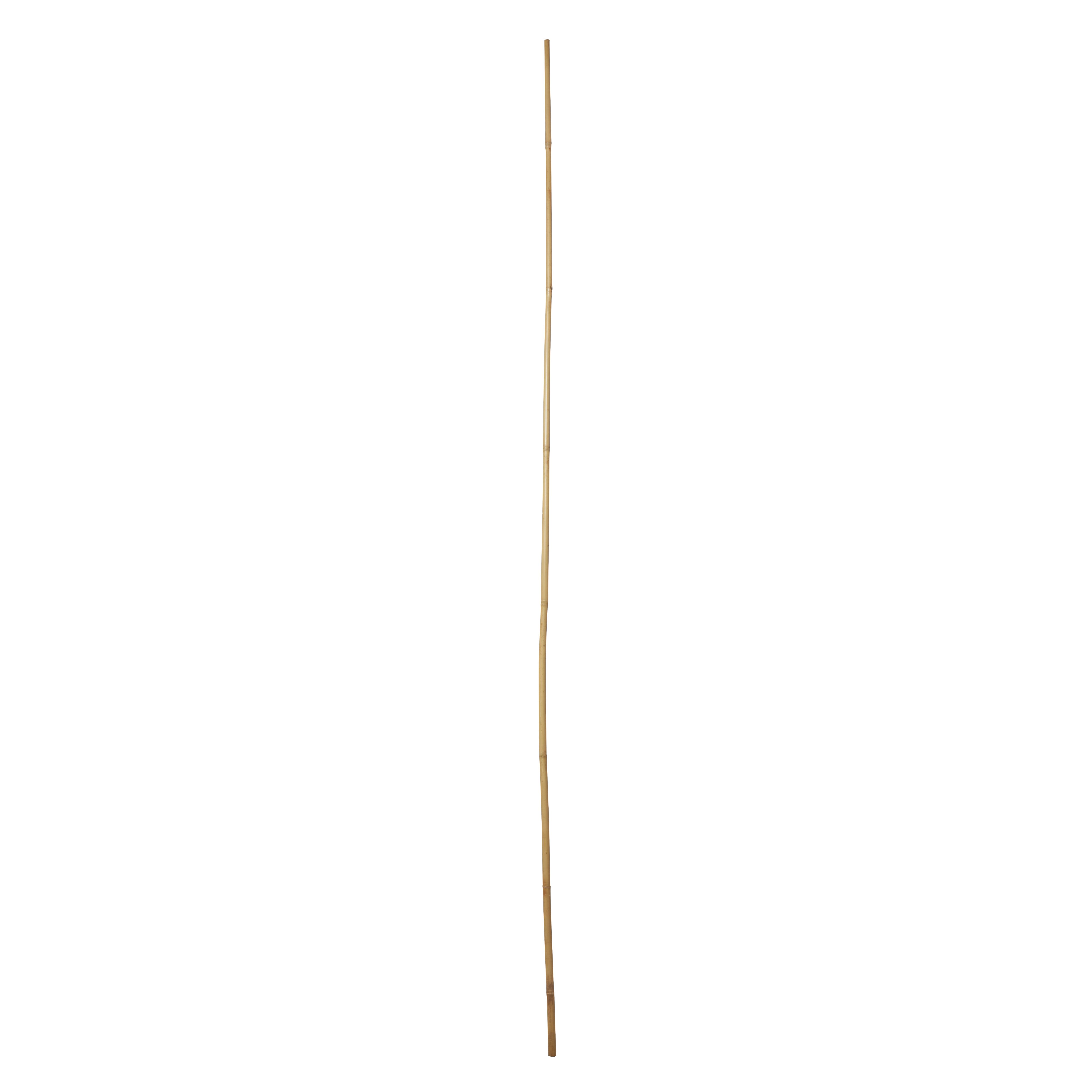 Verve Bamboo Cane 180cm, Pack of 10 DIY at B&Q