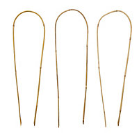 Verve Bamboo Hoop Plant support 60cm, Pack of 3