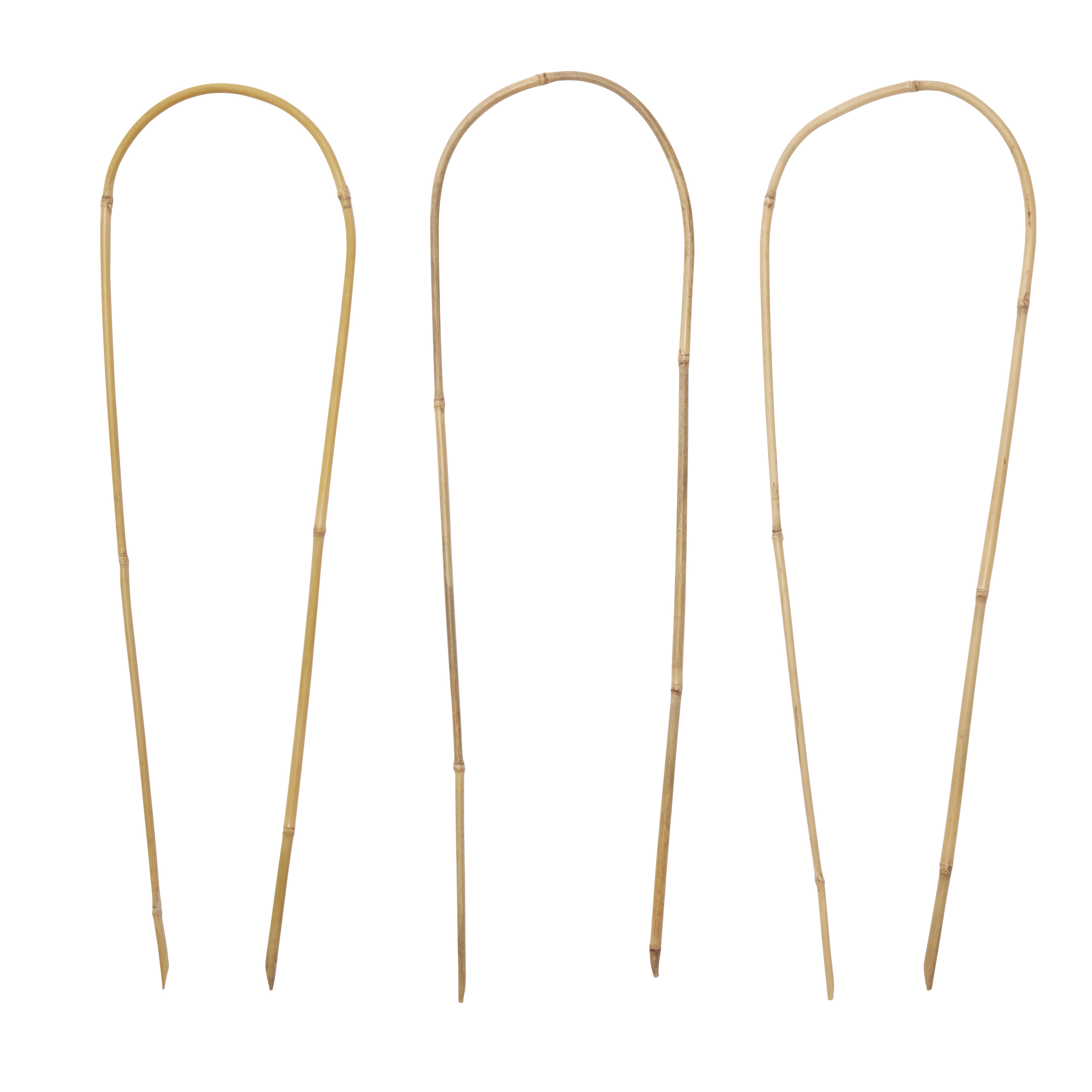 Verve Bamboo Hoop Plant support 60cm, Pack of 3 DIY at B&Q