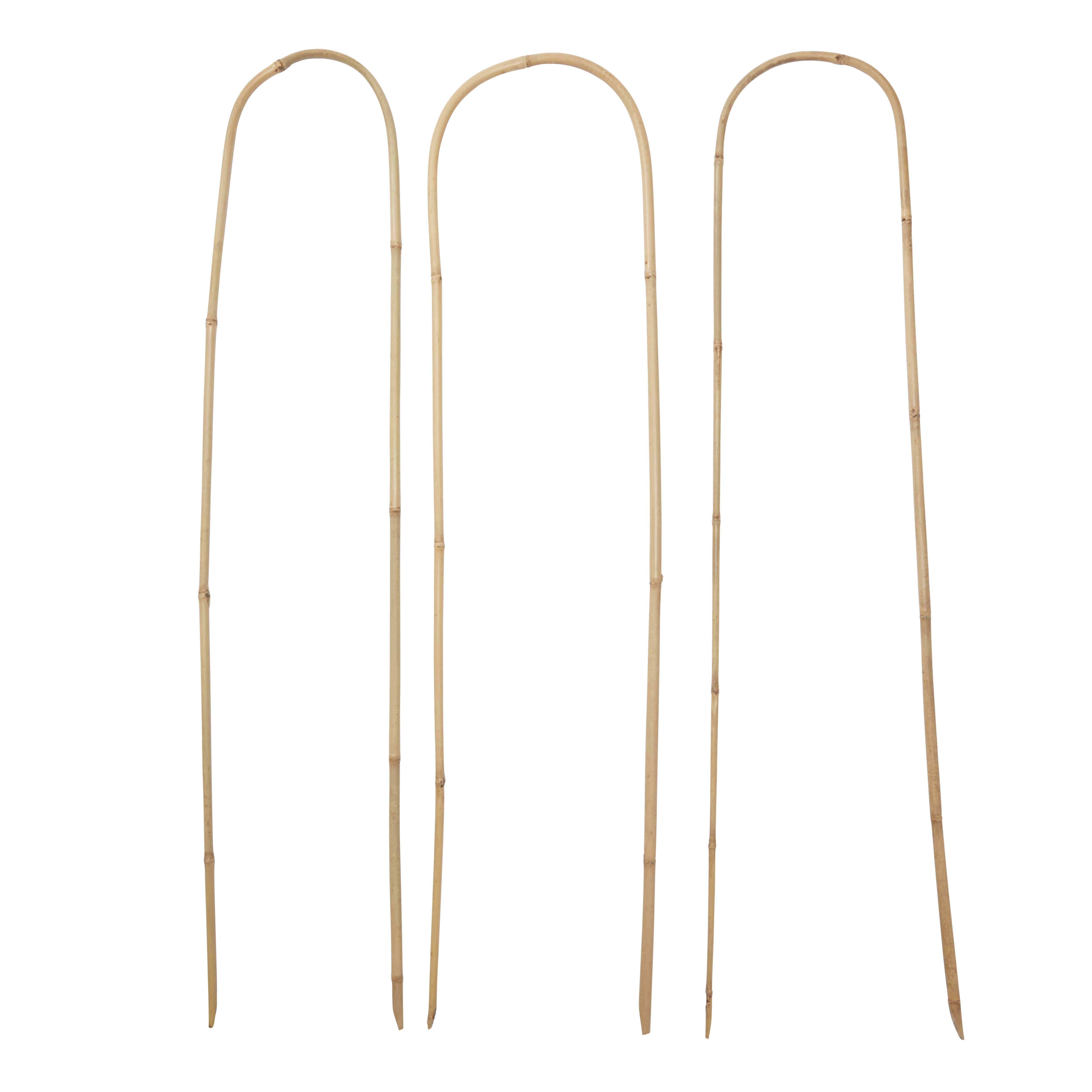 Verve Bamboo Hoop Plant support (L)120cm, Pack of 3 DIY at B&Q