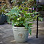Verve Barcău Olive Ceramic Round Plant pot (Dia)20cm