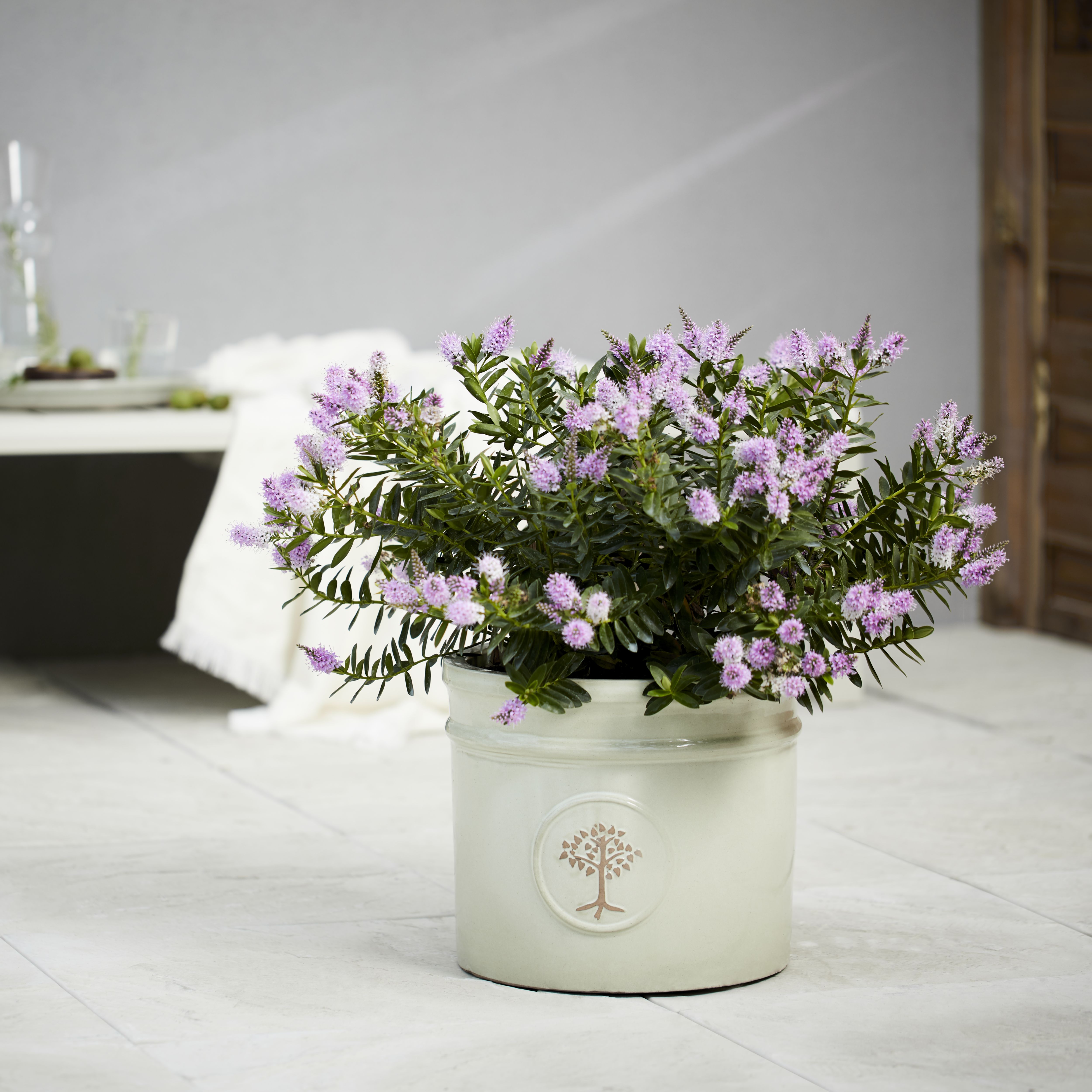 Verve Barcău Gloss Olive Ceramic Circular Plant pot (Dia) 30cm, (H)26cm, 18L
