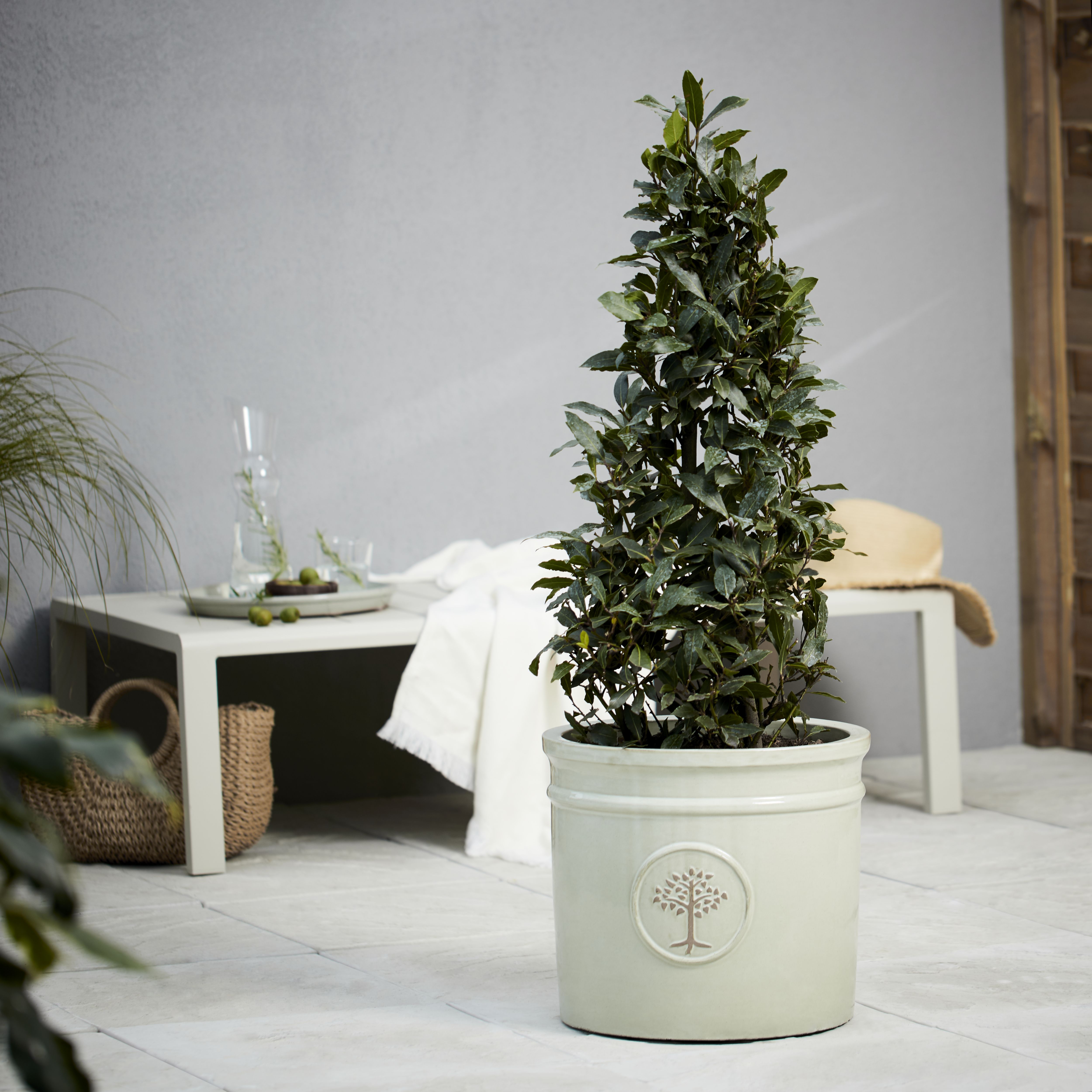 Verve Barcău Olive Ceramic Circular Plant pot (Dia) 38cm, 39L
