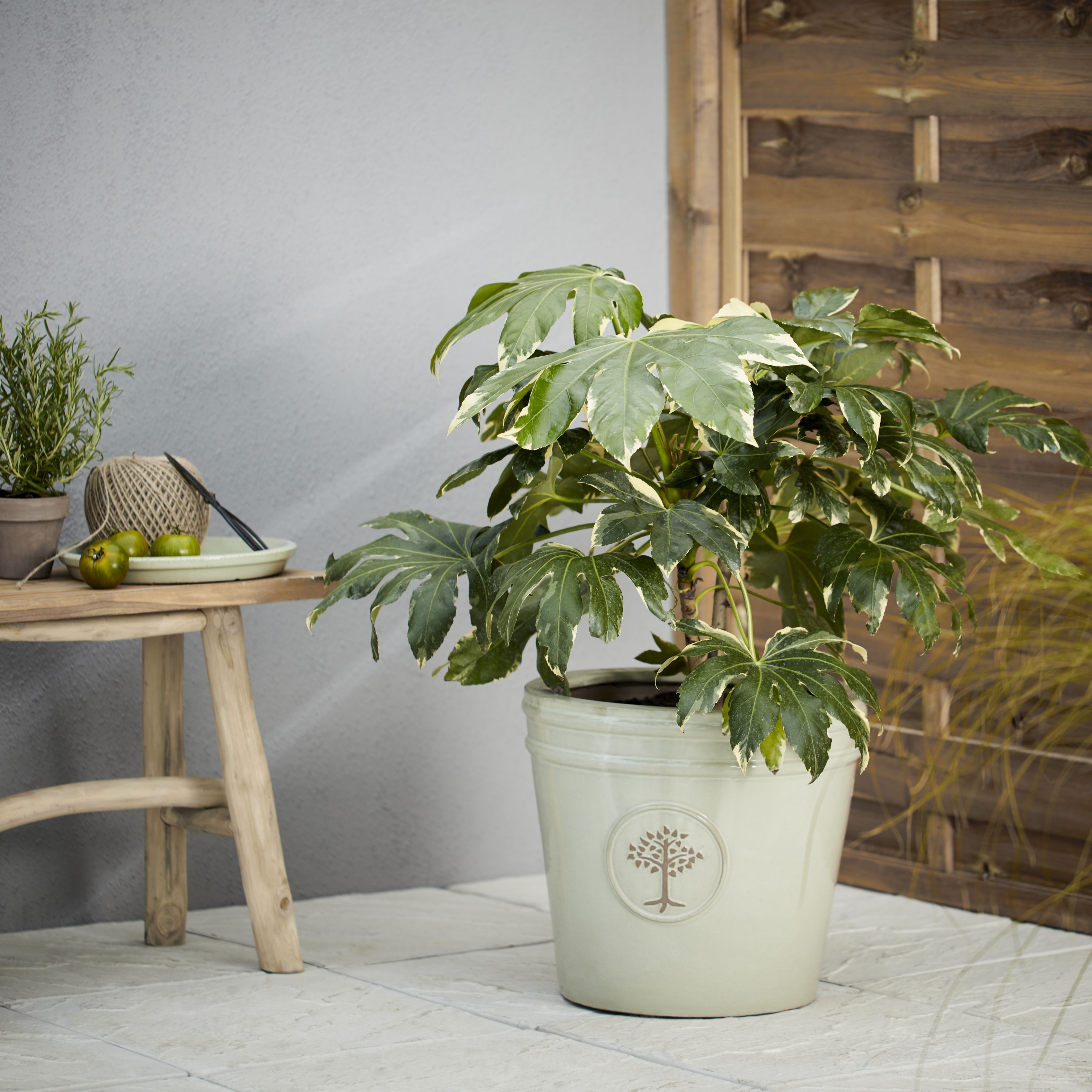 Verve Barcău Olive Ceramic Circular Plant pot (Dia) 40cm, 44L