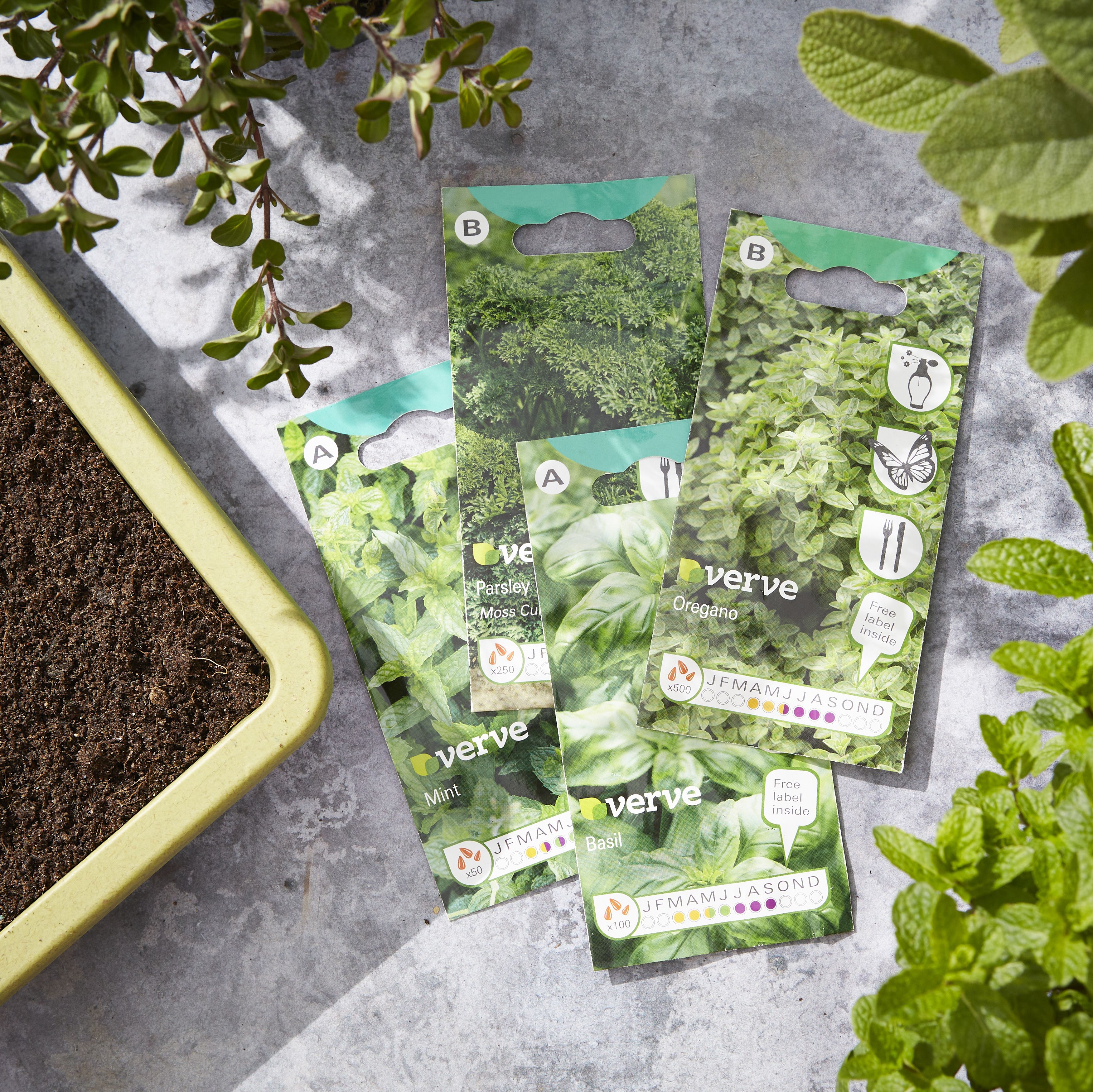 Verve Basil Herb Seeds