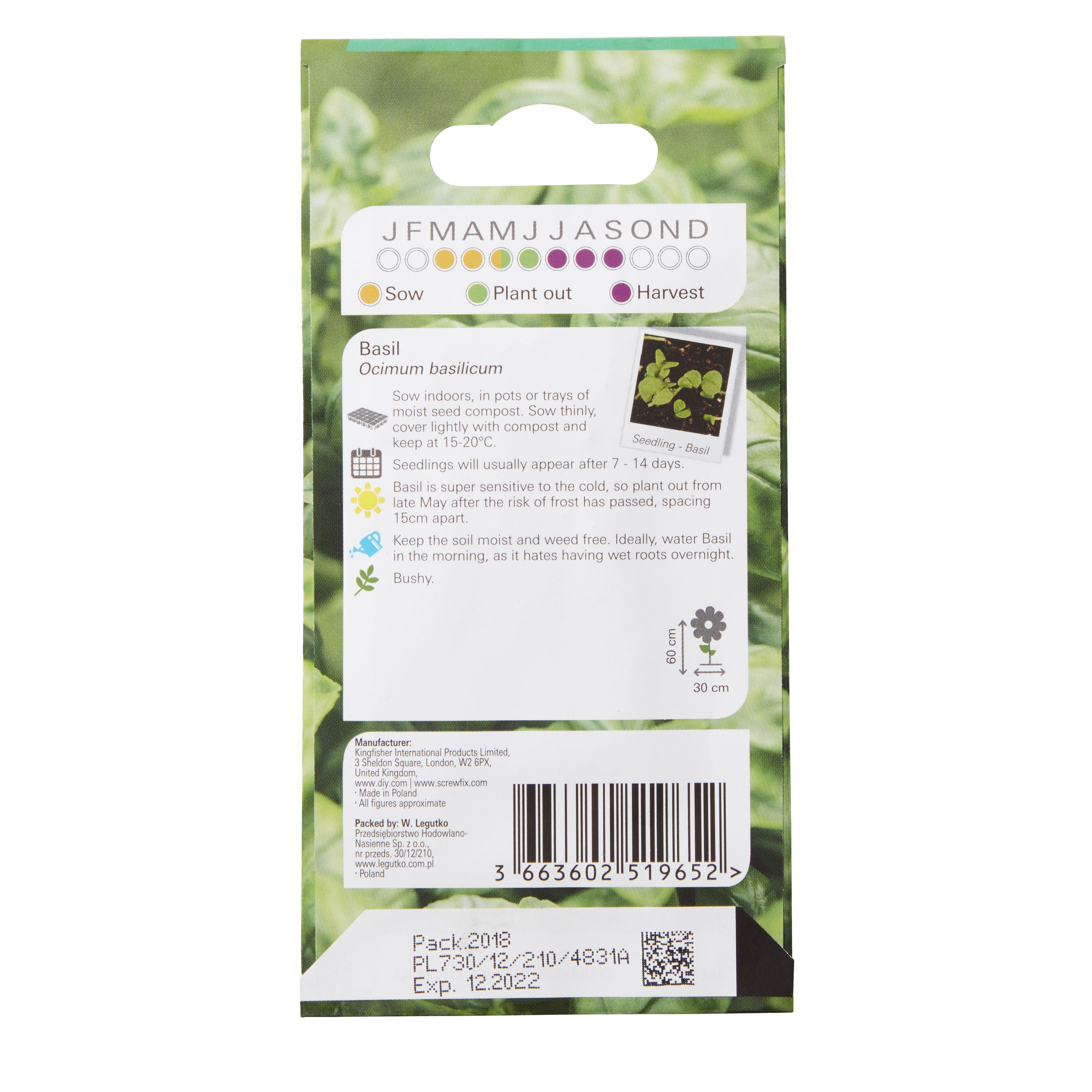 Verve Basil Herb Seeds