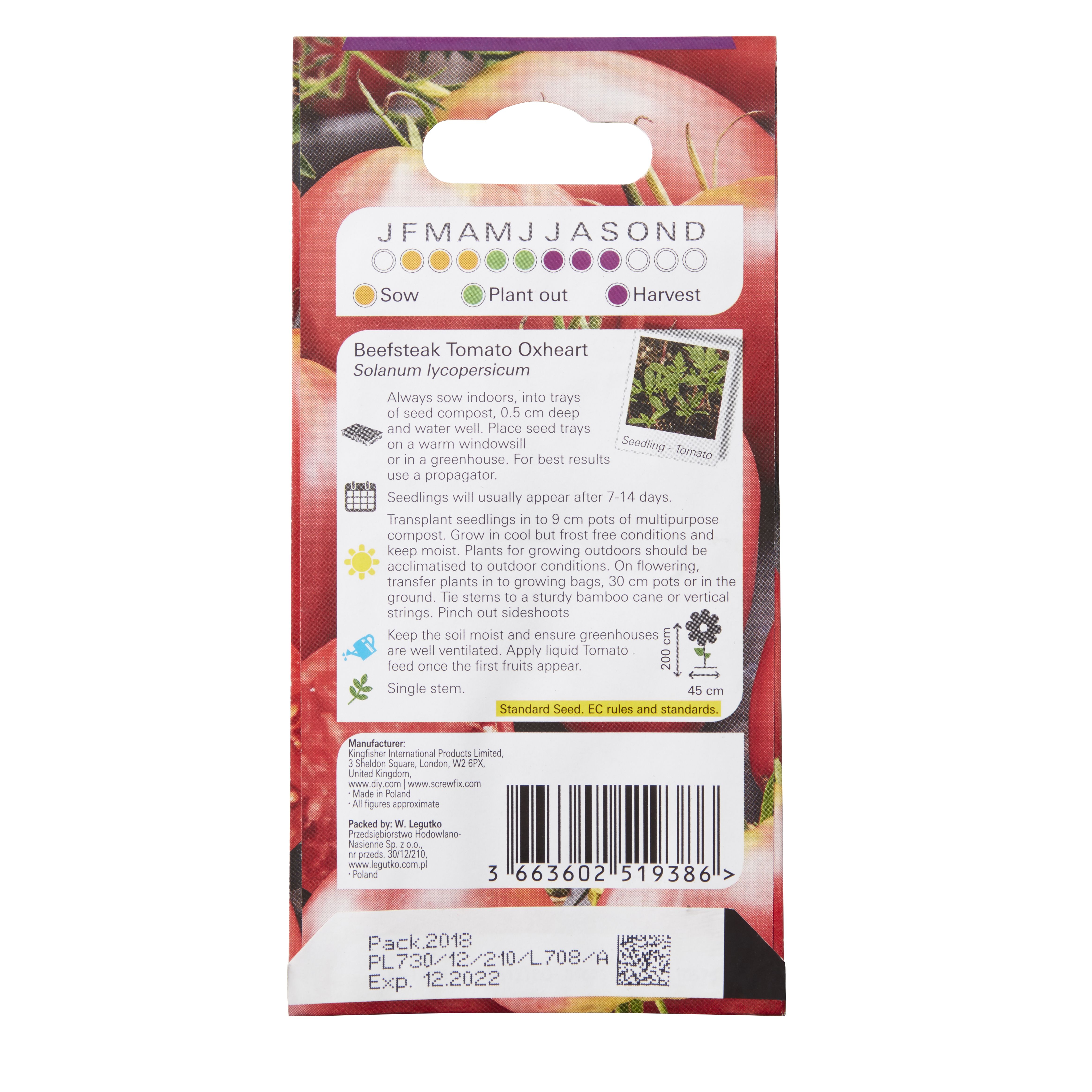 50 Bush Beefsteak Tomato Seeds – Fresh Heirloom Vegetable Seeds For Spring Planting