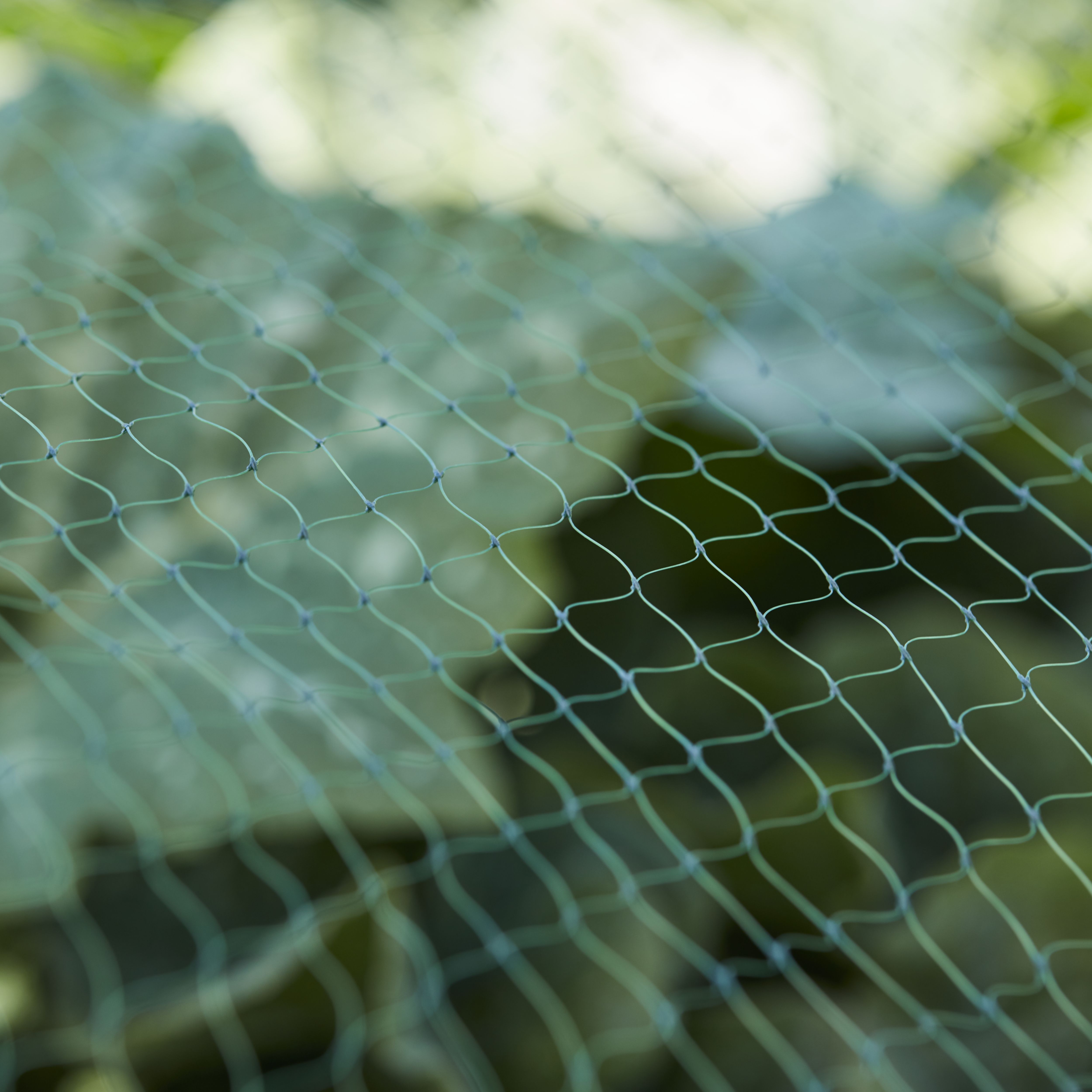Verve Bird & animal Netting 10x2m