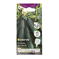 Verve Black beauty courgette Seed