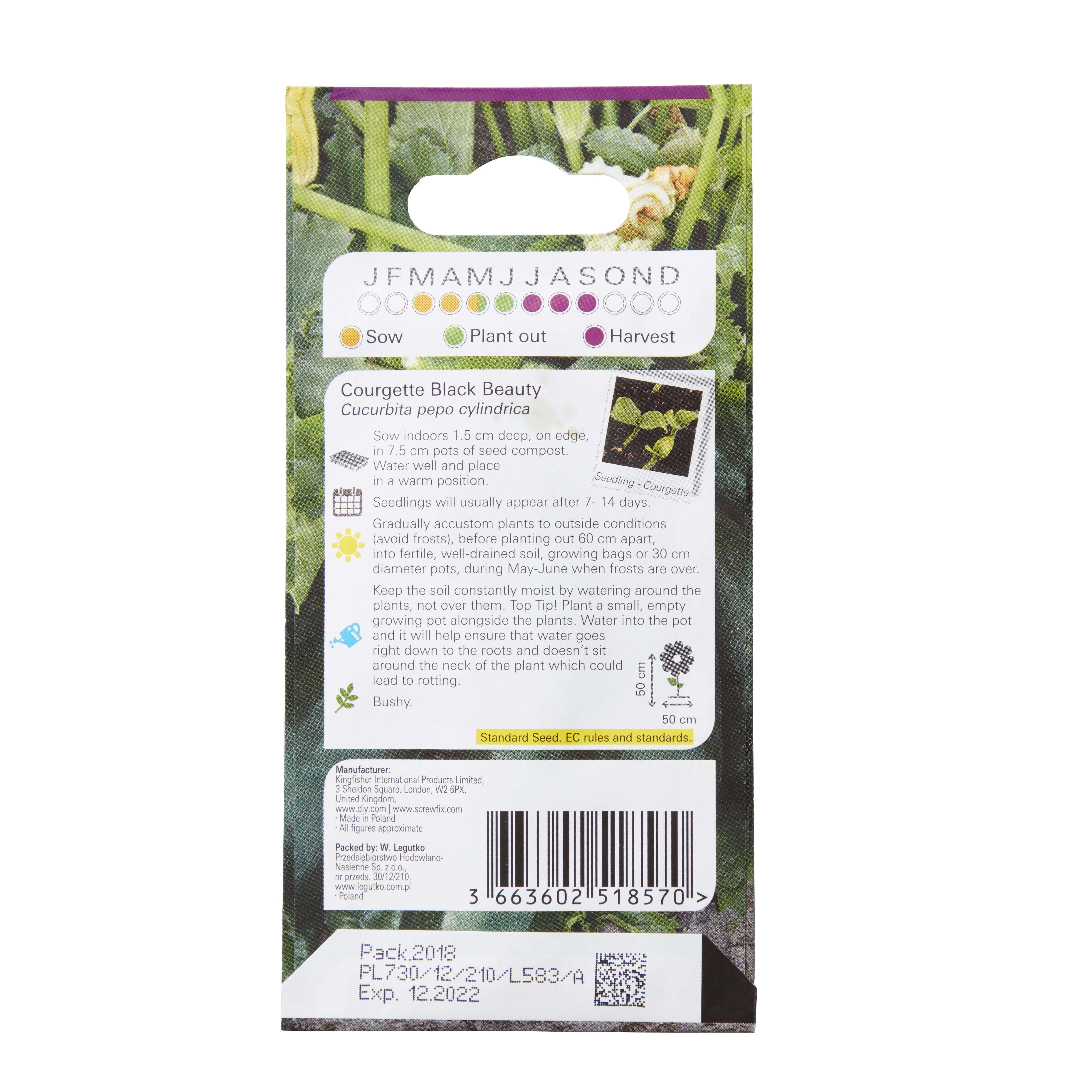 Verve 'Black beauty courgette' Vegetable Seeds