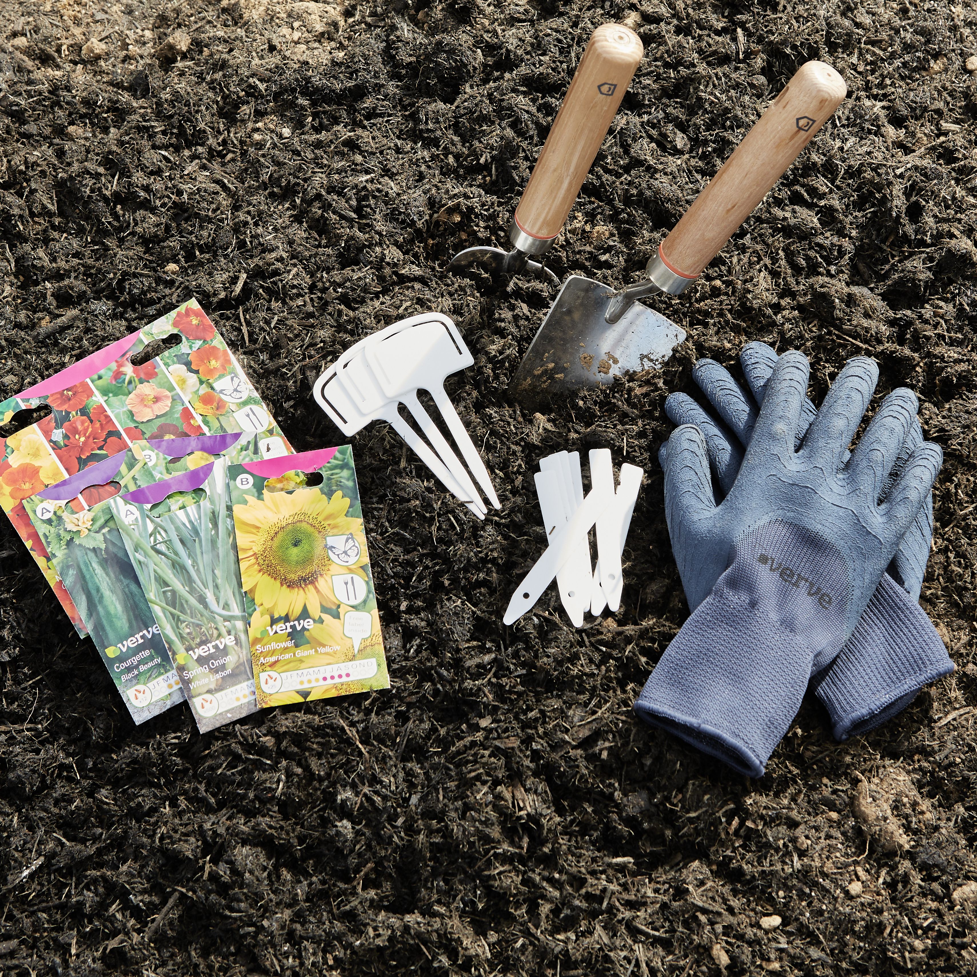Verve 'Black beauty courgette' Vegetable Seeds