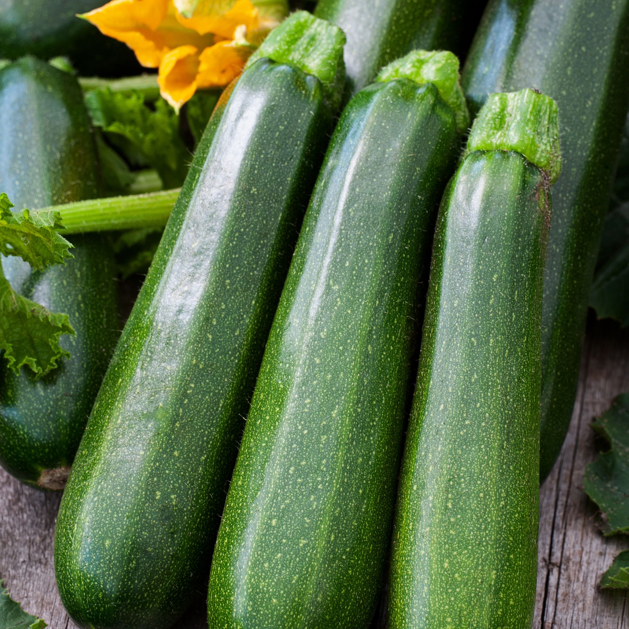 Verve 'Black beauty courgette' Vegetable Seeds
