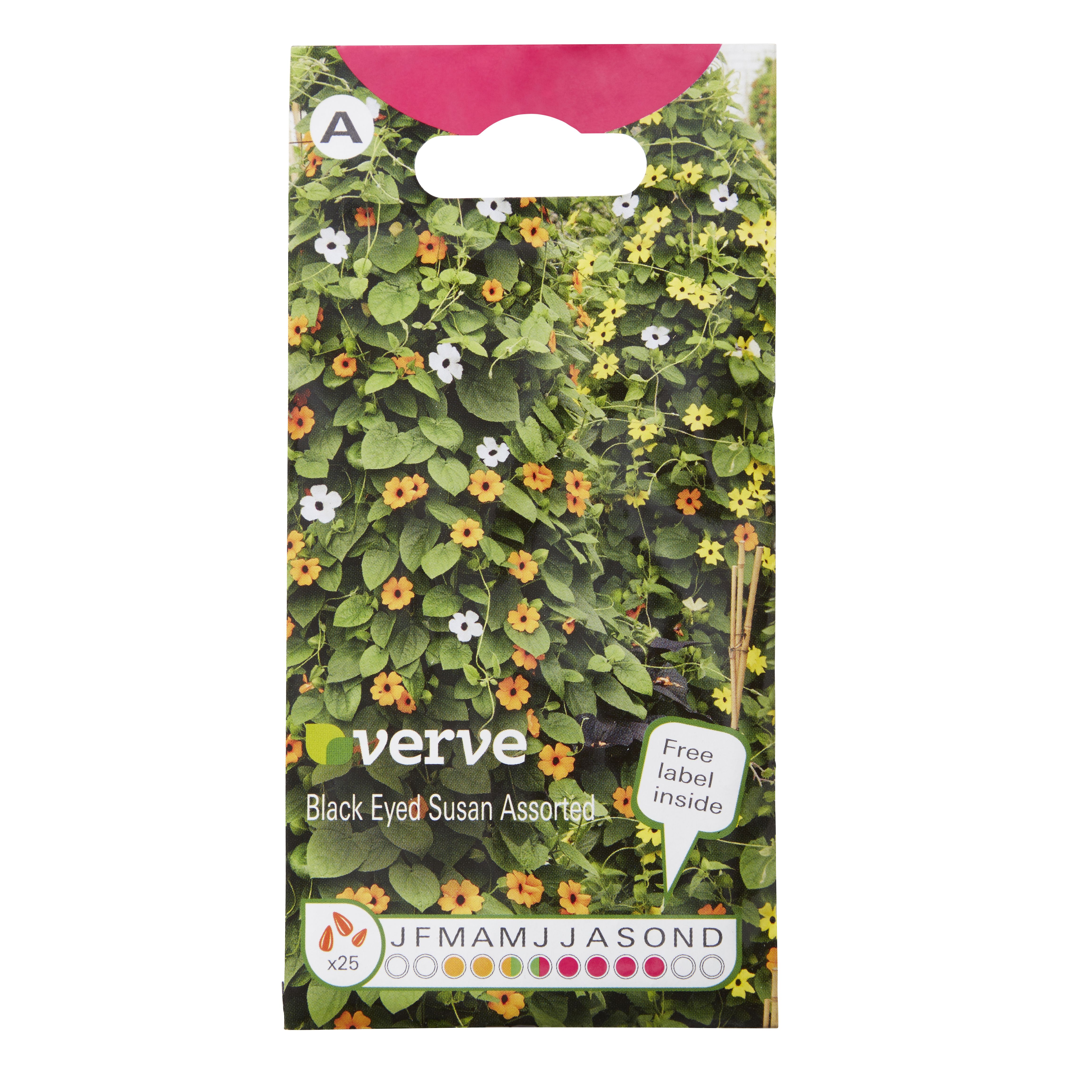 Verve Black eyed Susan Seeds