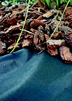 Verve Black Polypropylene Weed control fabric, (L)10m (W)1m