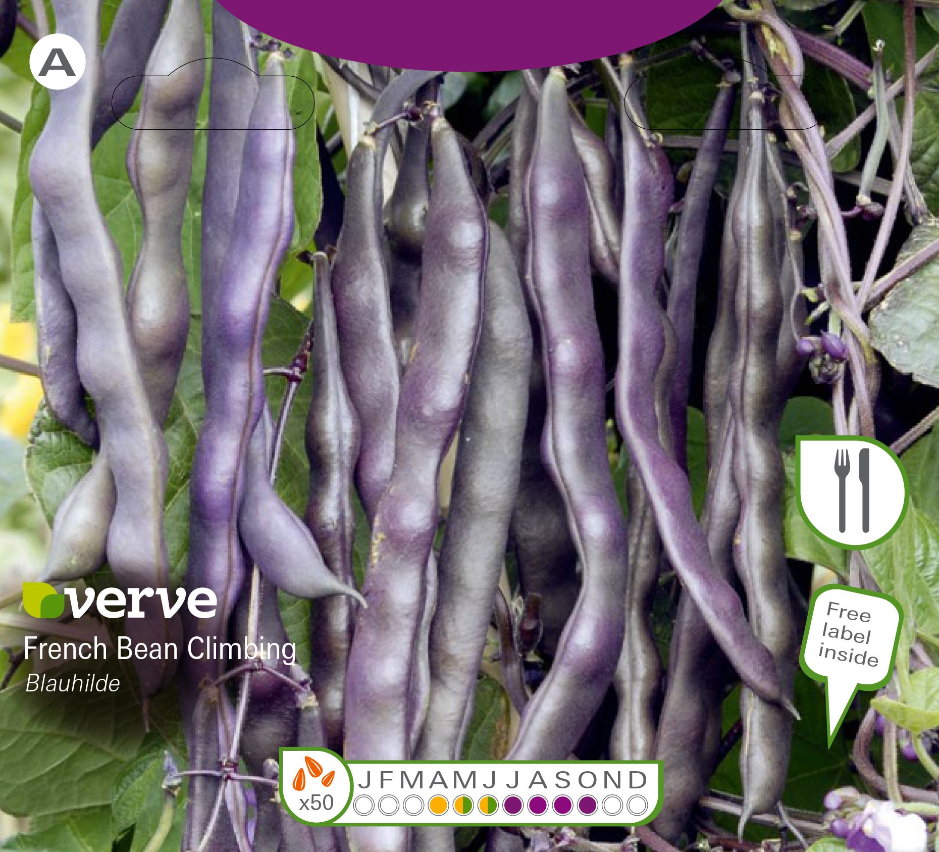 Verve Blauhilde french bean Seeds