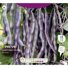 Verve Blauhilde french bean Seeds