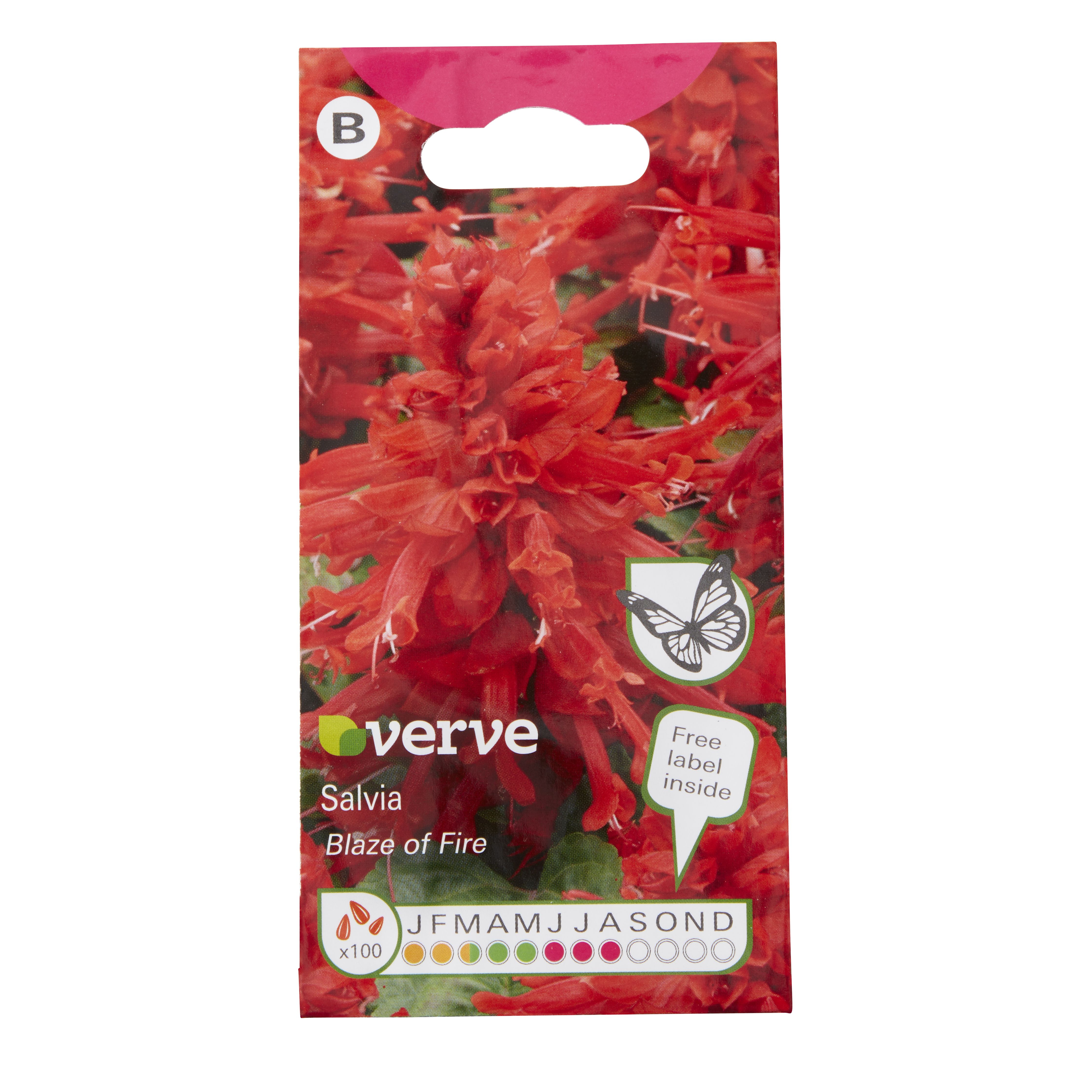 Verve Blaze of fire Salvia Seeds