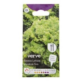 Verve Blonde de paris lettuce Seeds