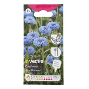 Verve Blue diadem Cornflower Seeds