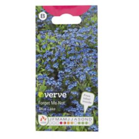 Verve Blue lake Forget me not Seeds