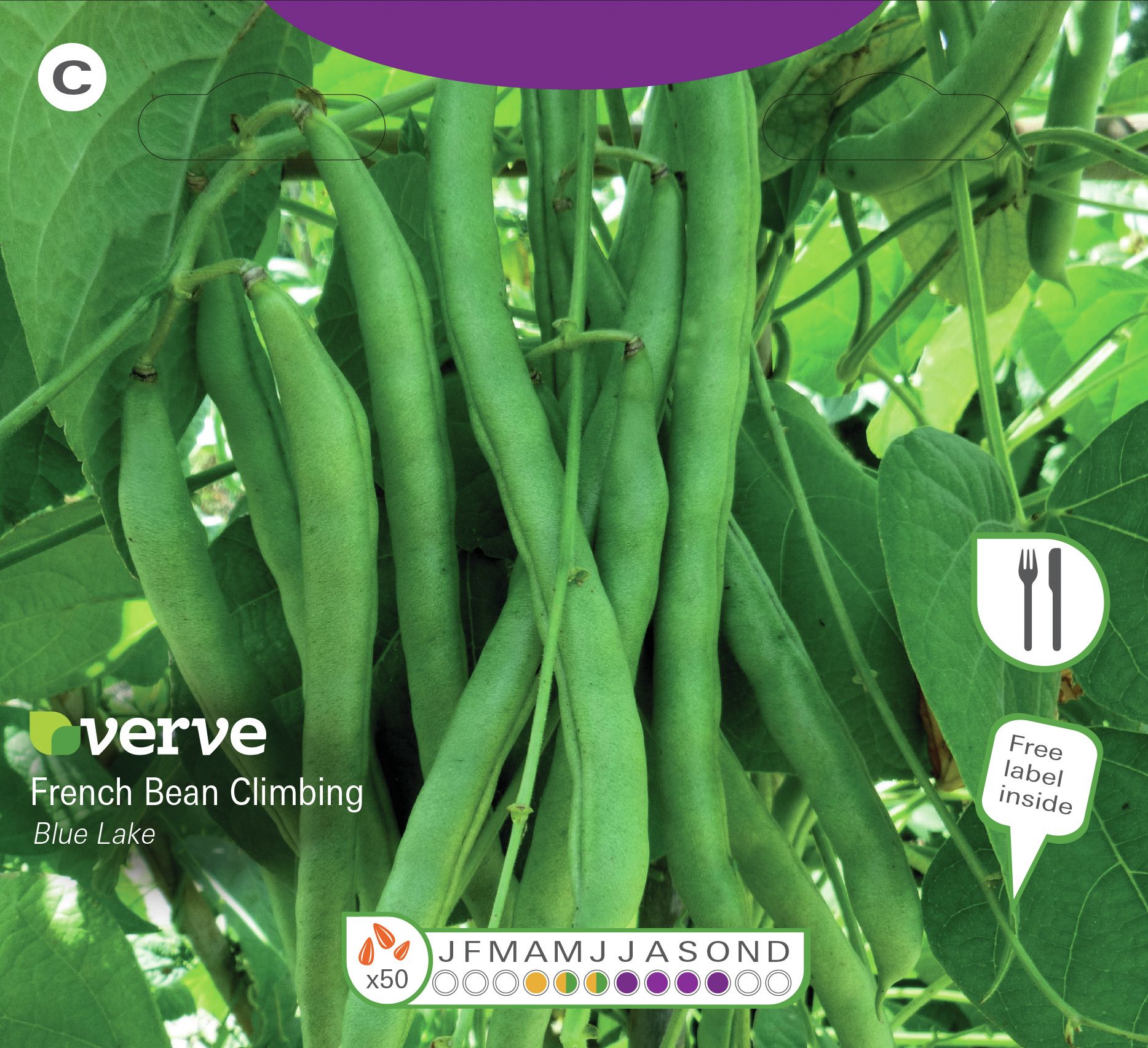 Verve Blue lake french bean French bean Seed