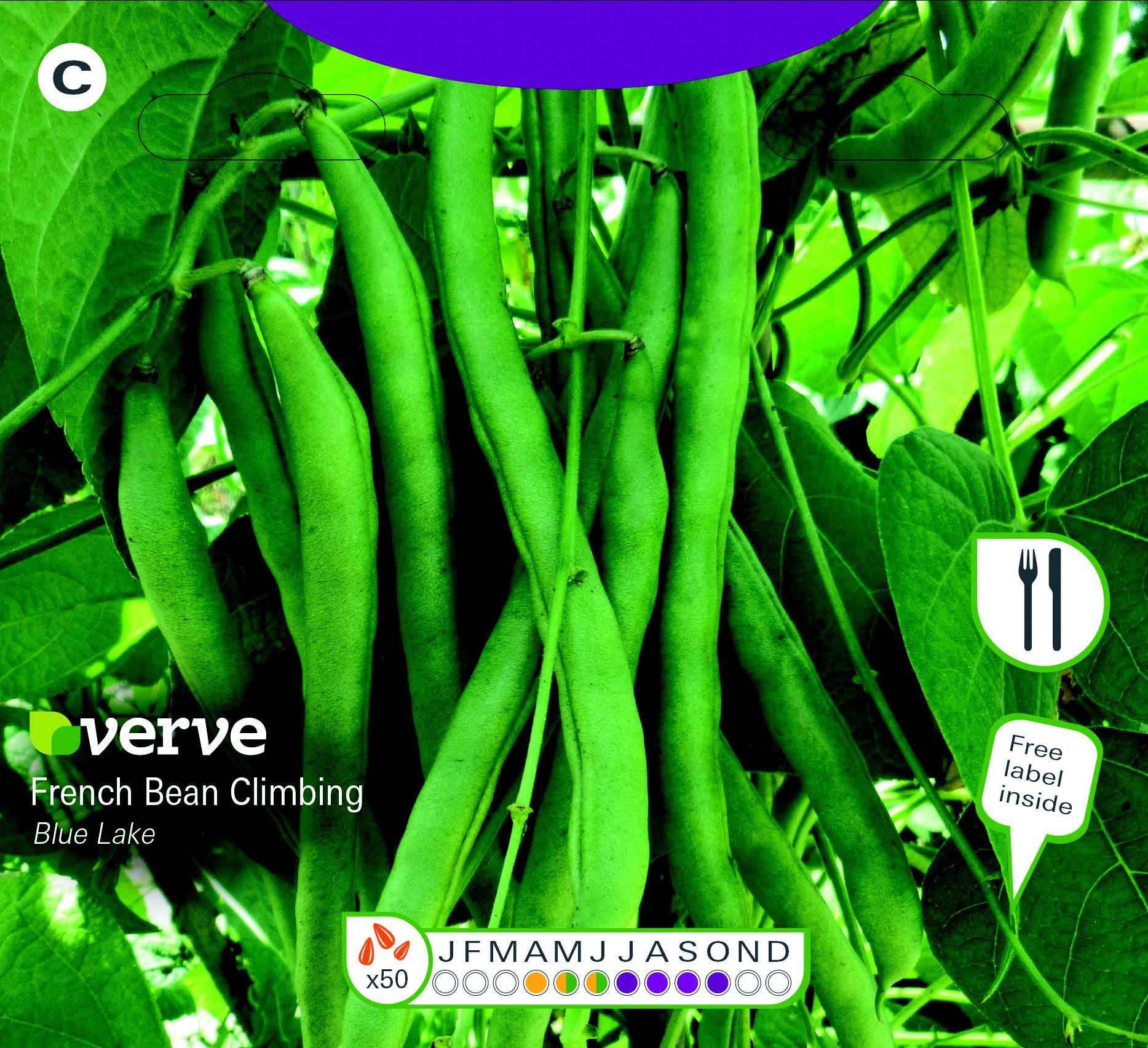 Verve Blue lake french bean Seeds