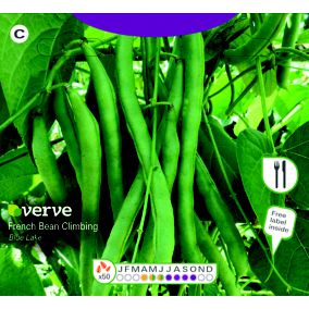 Verve Blue lake french bean Seeds