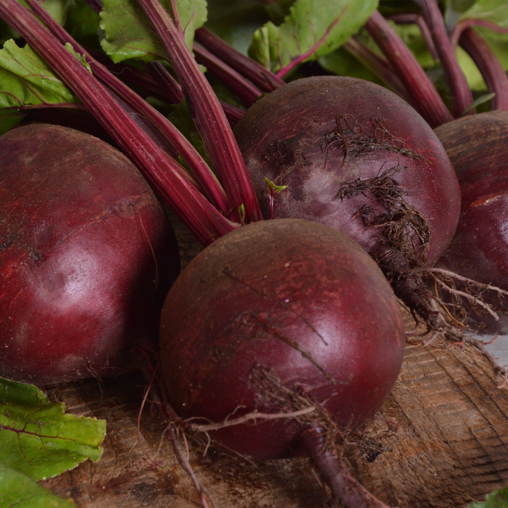 Verve Bolthardy Beetroot Seed tape 6m