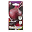 Verve Bolthardy beetroot Seed